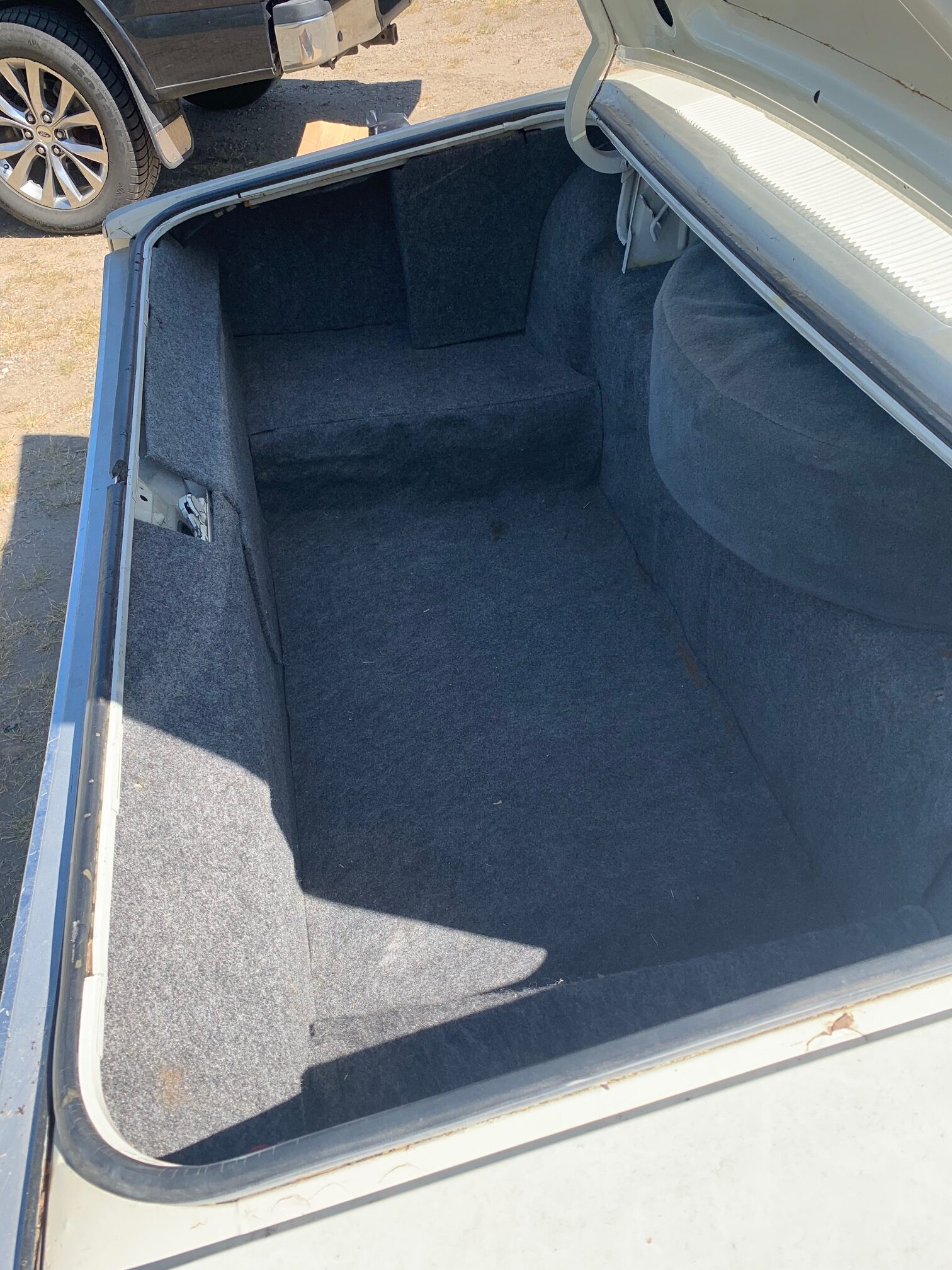 IMG_5052 Frank Marhoffer 2024-08-28