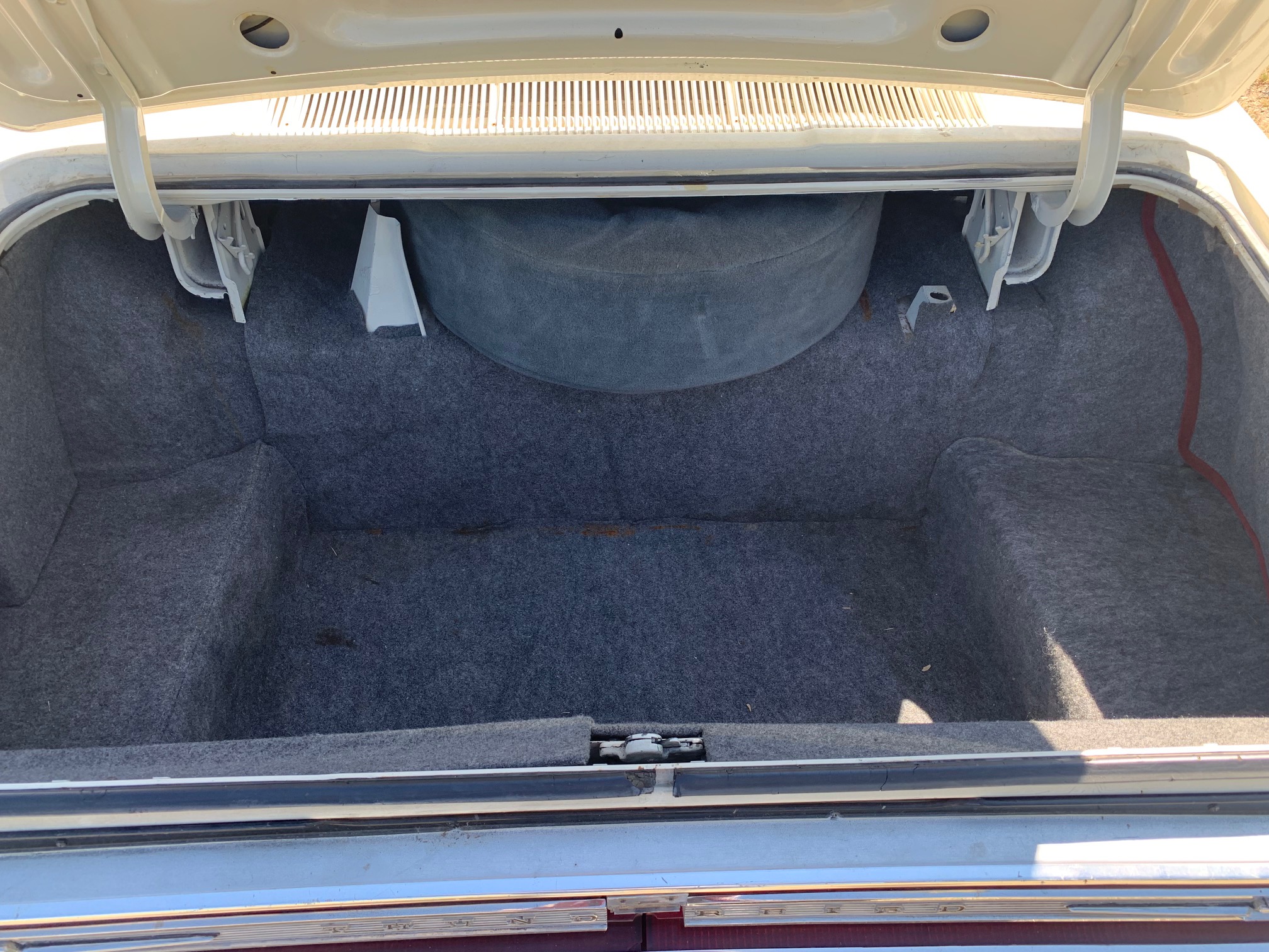 IMG_5053 Frank Marhoffer 2024-08-28