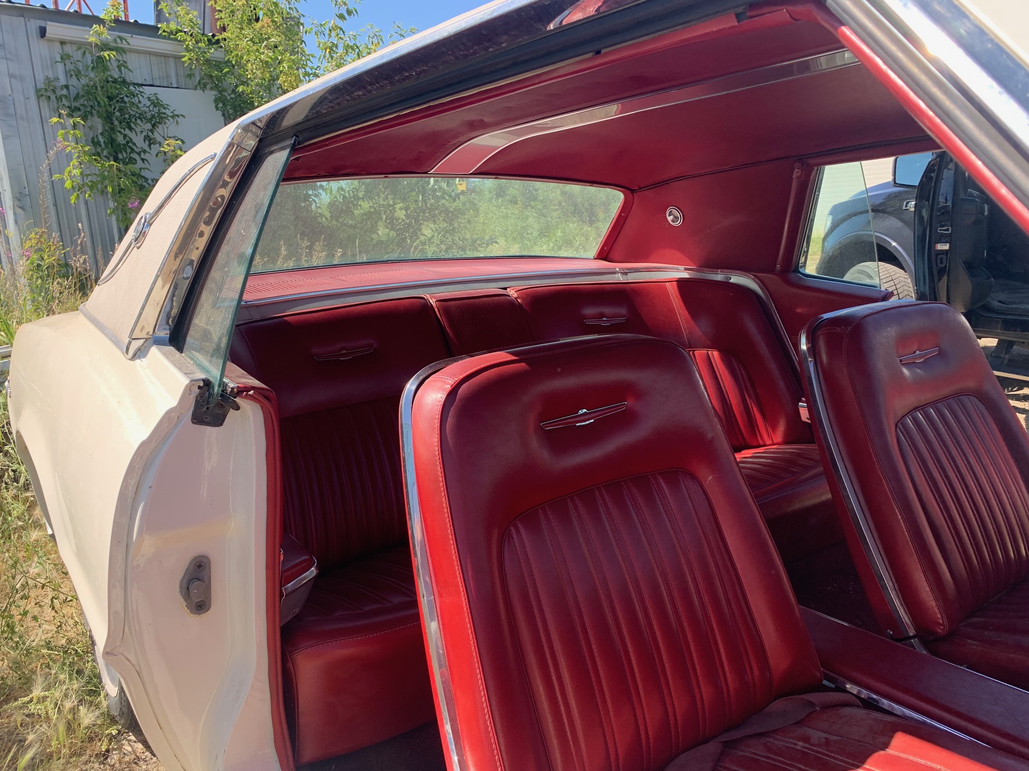 IMG_5061 Frank Marhoffer 2024-08-28