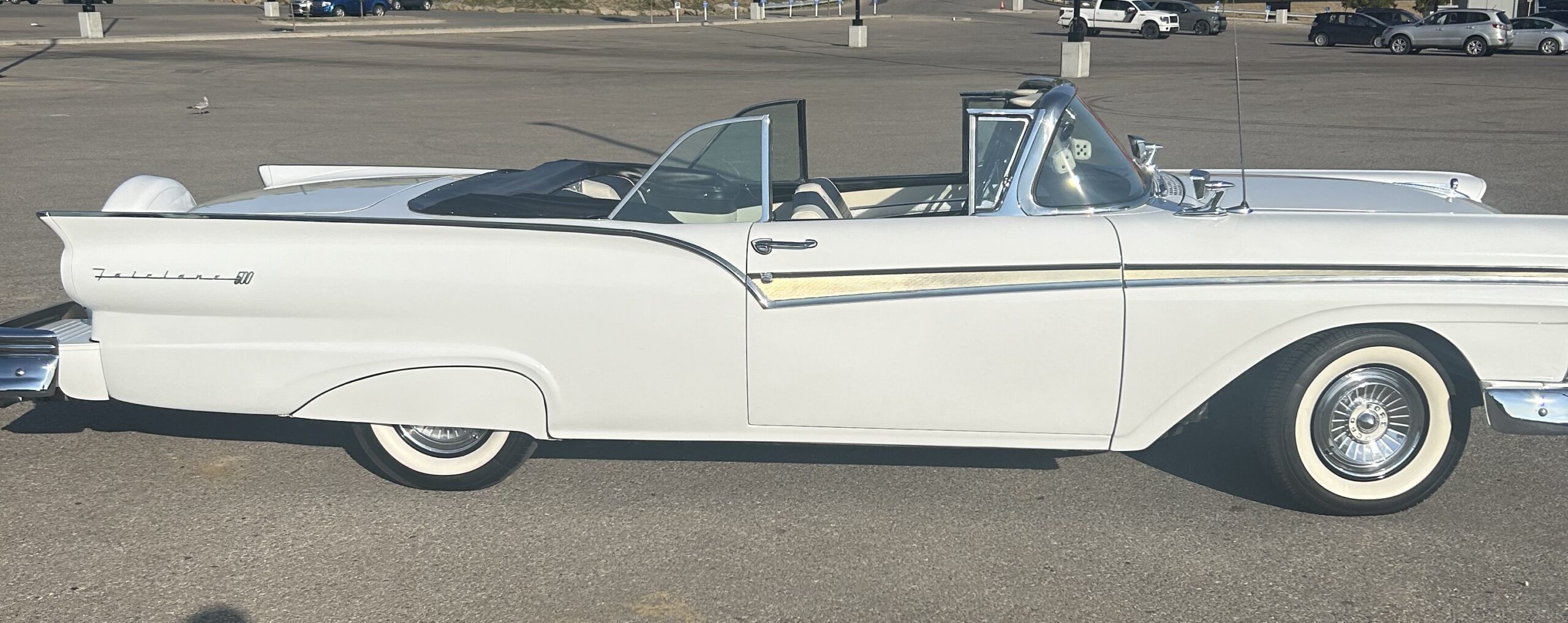 IMG_5436 Matthew 2024-08-31