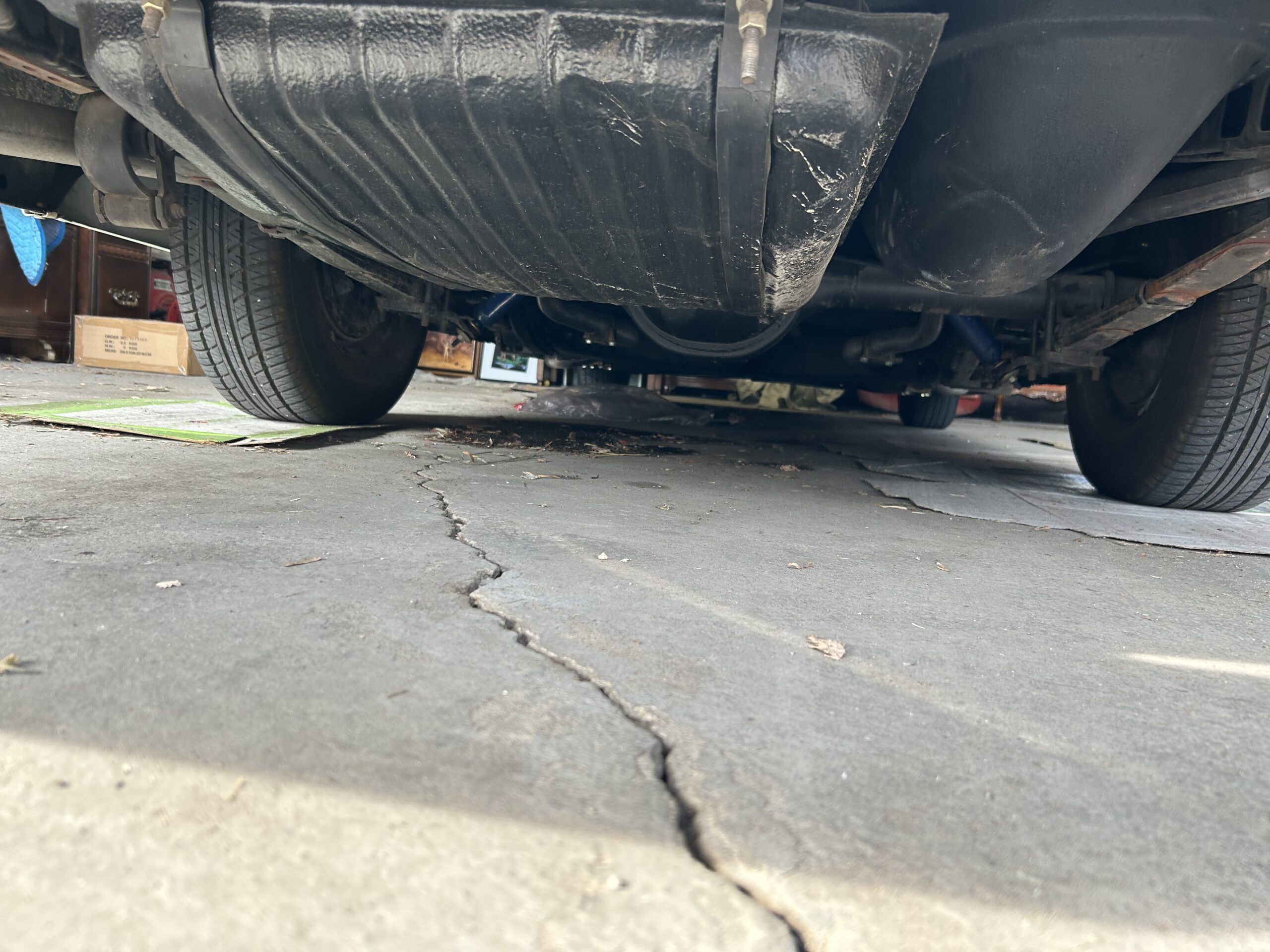 IMG_5484 Matt 2024-09-03