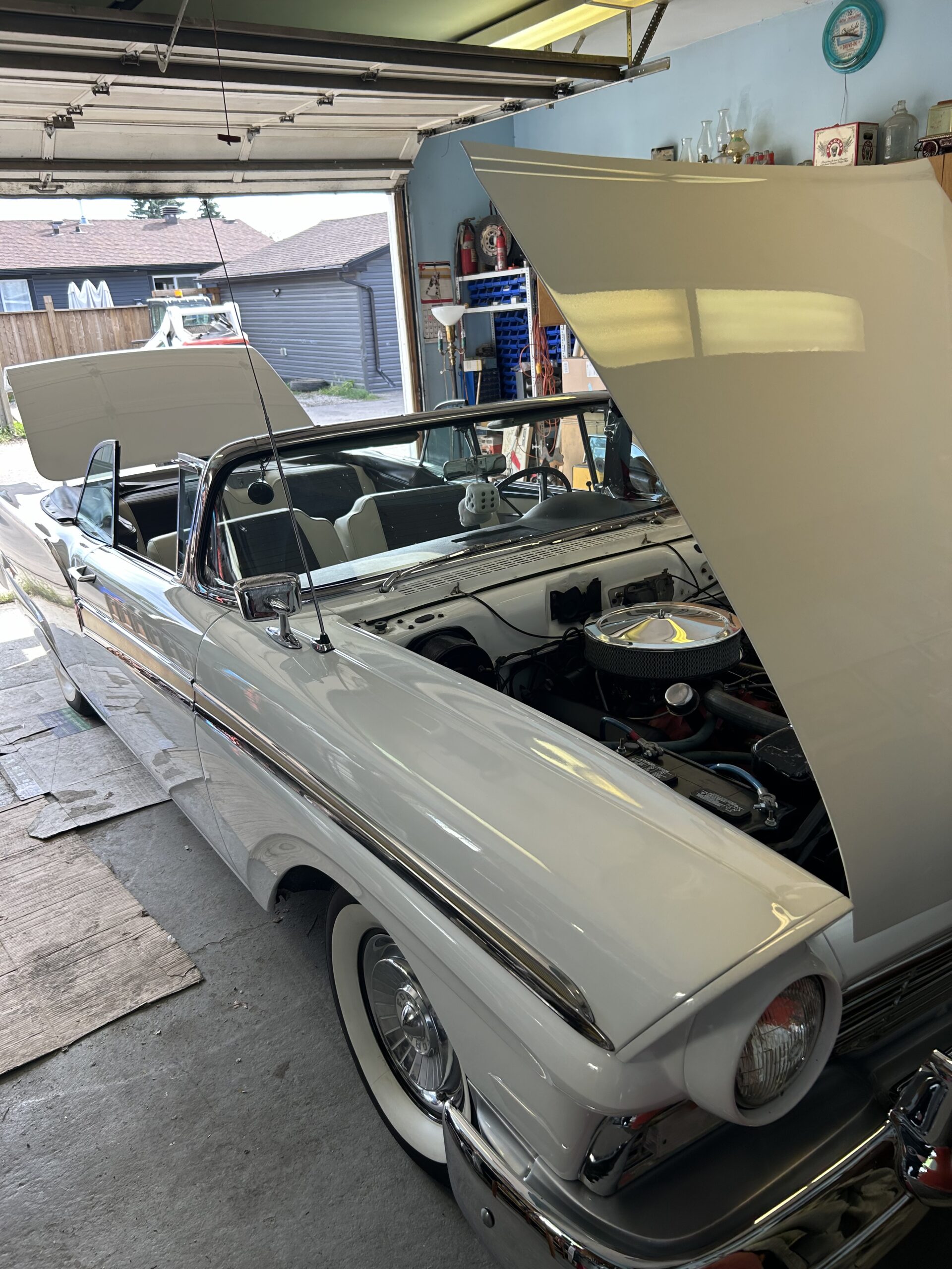 IMG_5485 Matt 2024-09-03