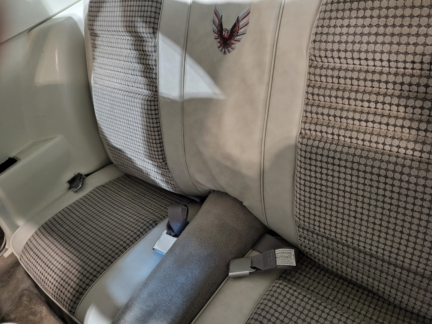 Resized_20240827_204635_1724813216862