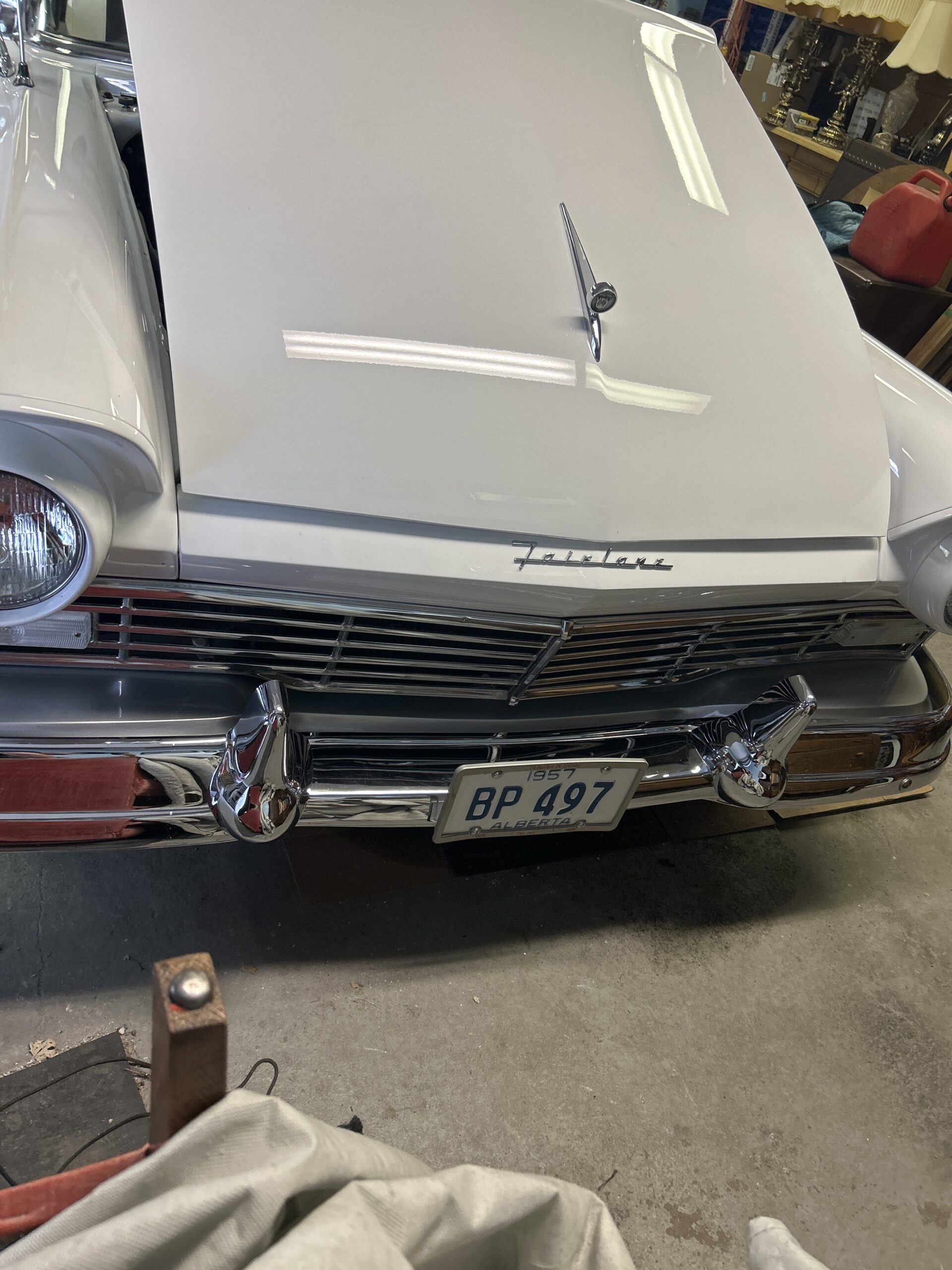 image Matt 2024-09-03 (2)