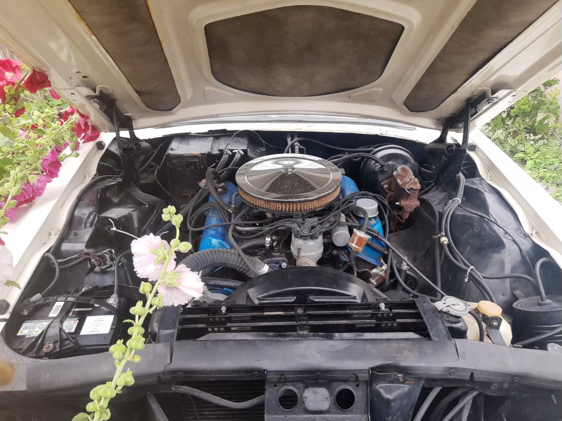 image0000001 Frank Marhoffer 2024-08-28