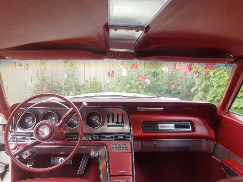 image0000091 Frank Marhoffer 2024-08-28