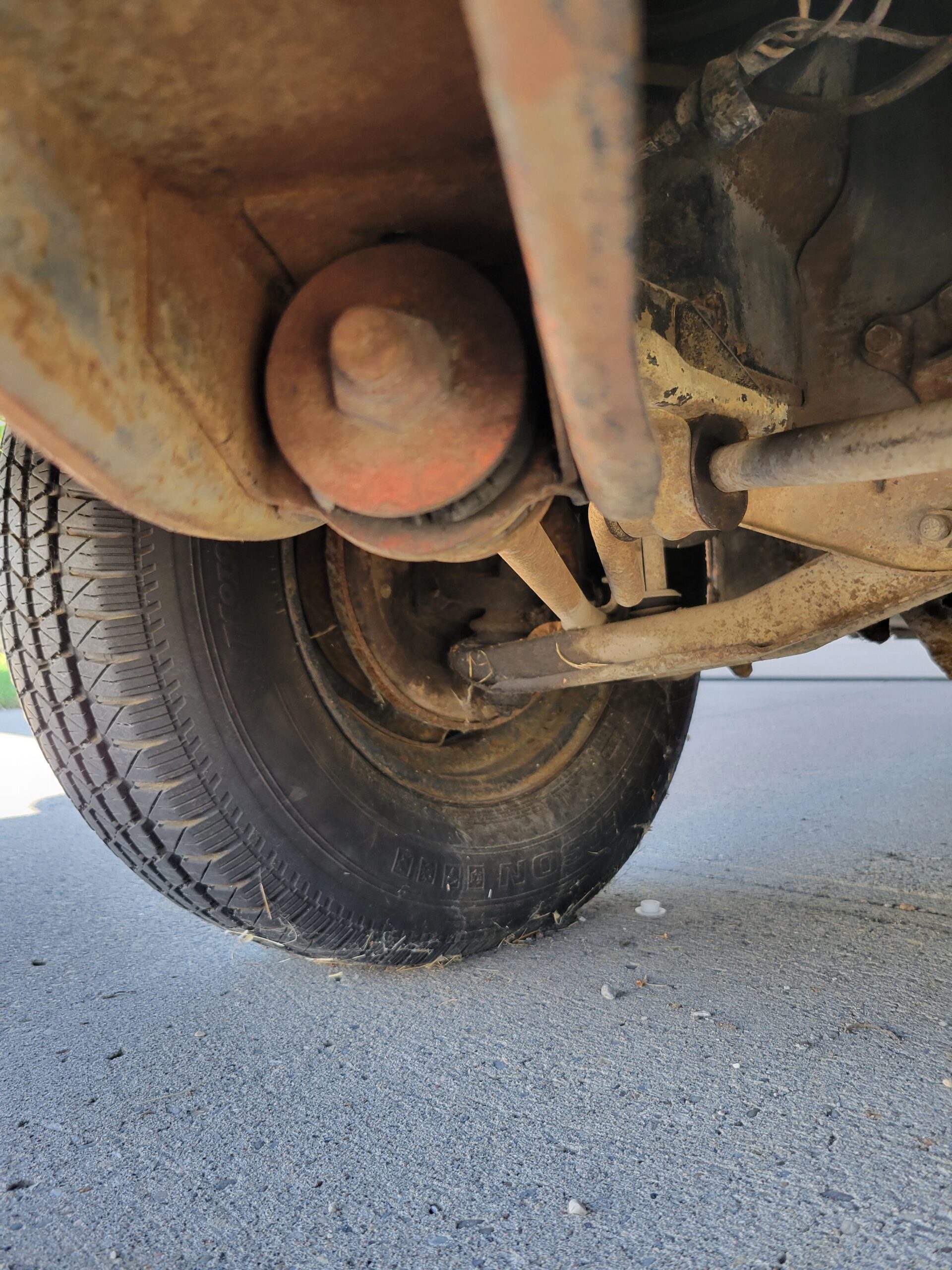 20240824_161155 Ruth Karchewski-Welter 2024-08-24