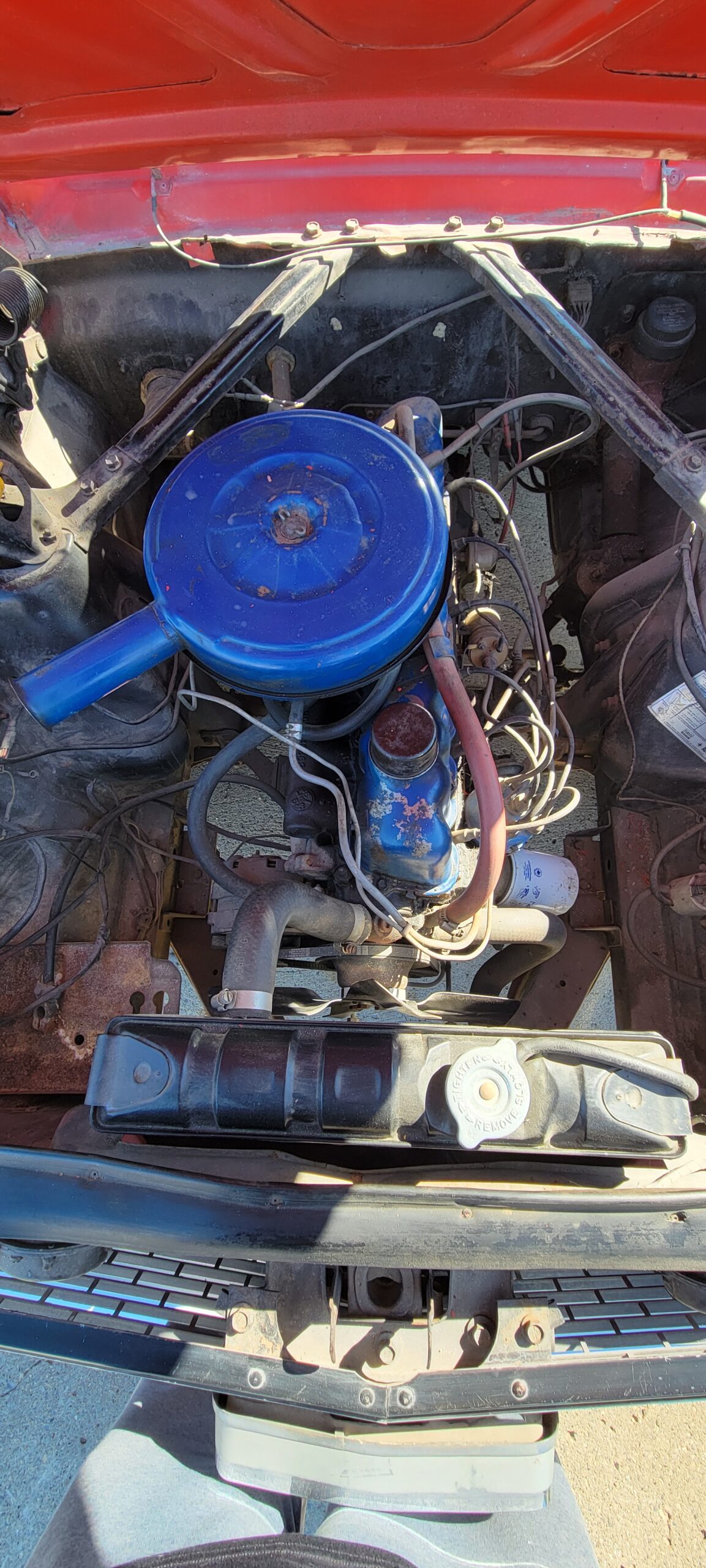 20240824_161436 Ruth Karchewski-Welter 2024-08-24