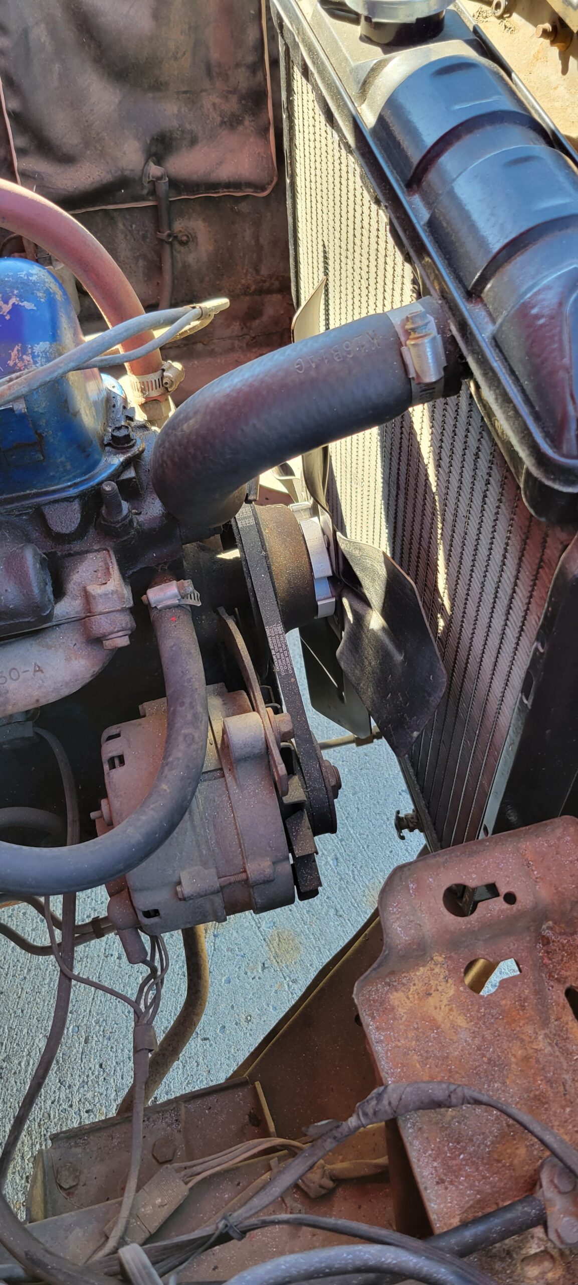 20240824_161510 Ruth Karchewski-Welter 2024-08-24