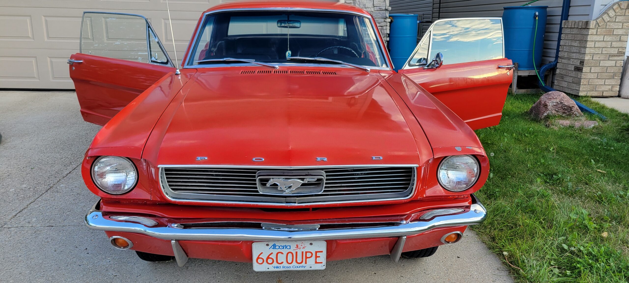 20240825_194508 Ruth Karchewski-Welter 2024-08-25