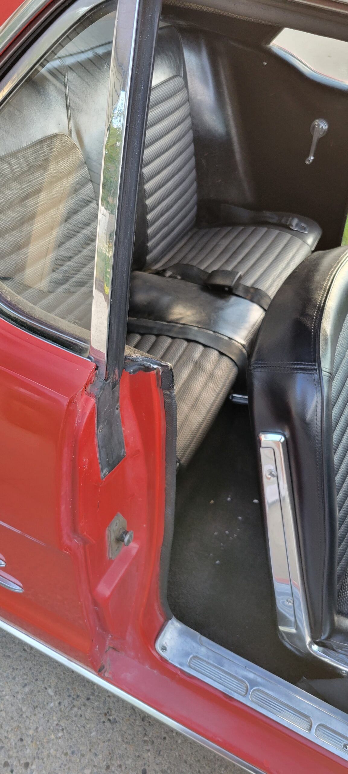 20240825_194545 Ruth Karchewski-Welter 2024-08-25