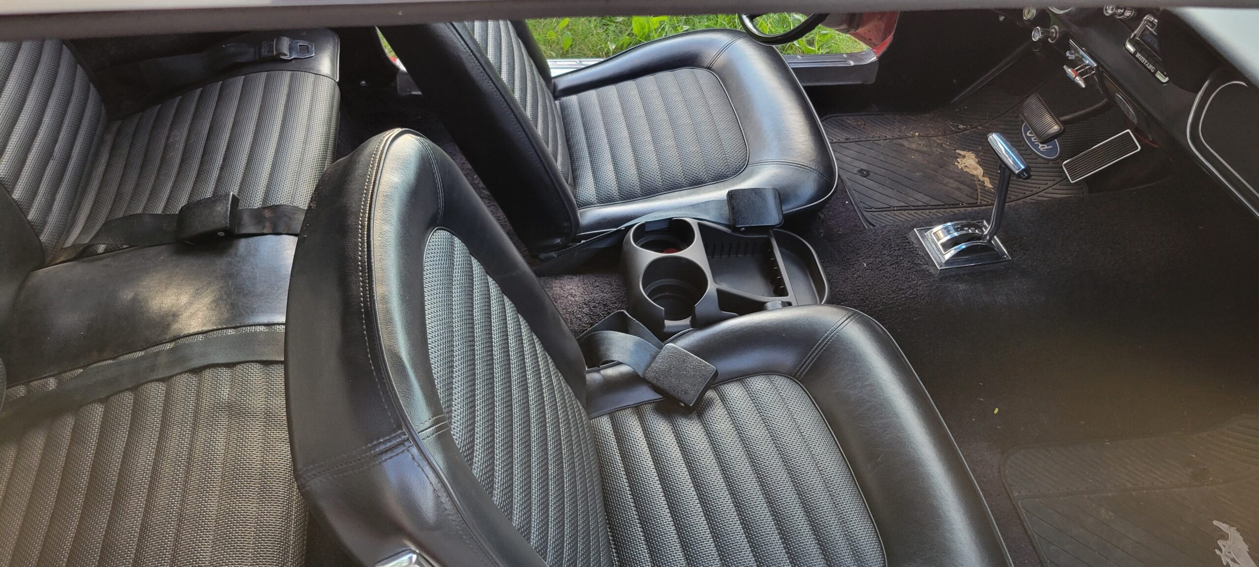 20240825_194554 Ruth Karchewski-Welter 2024-08-25