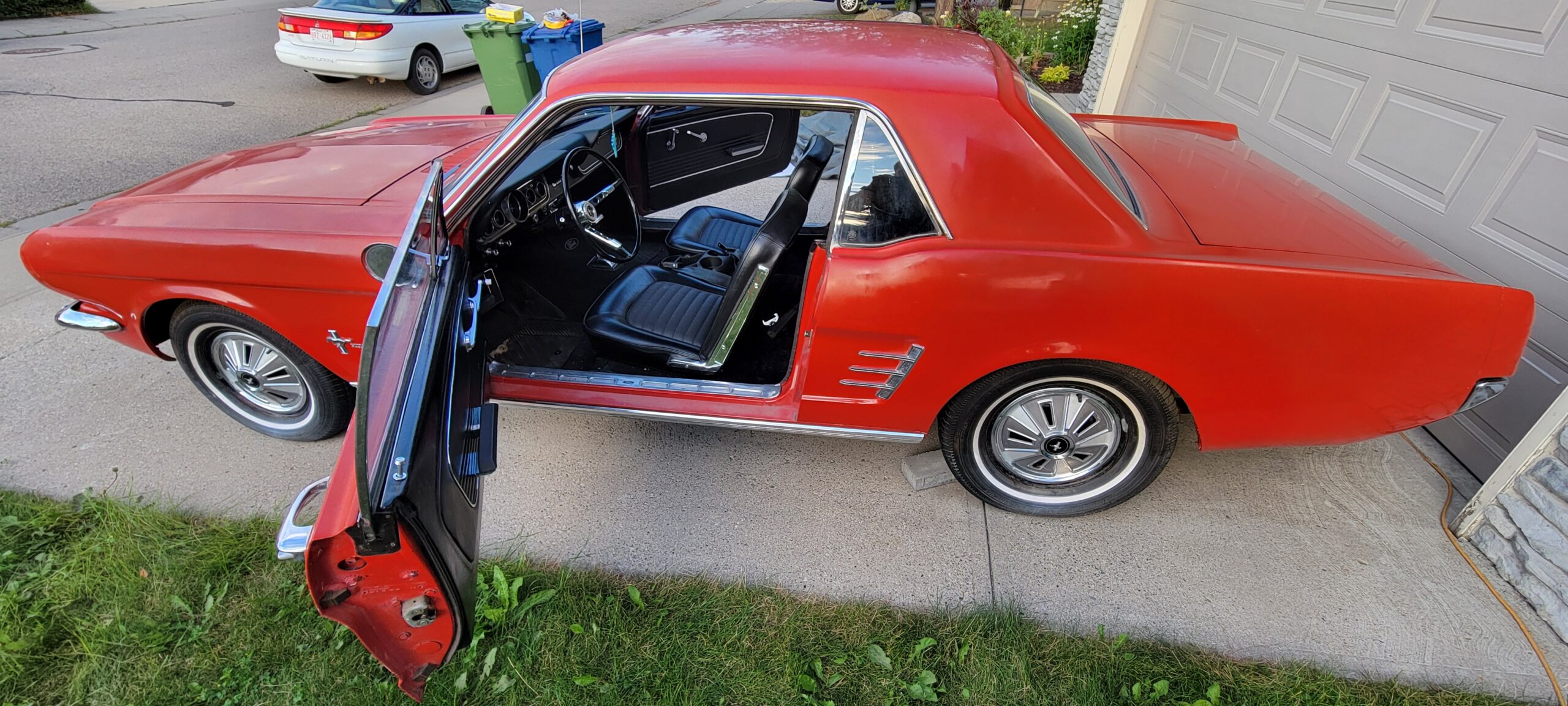 20240825_194703 Ruth Karchewski-Welter 2024-08-25