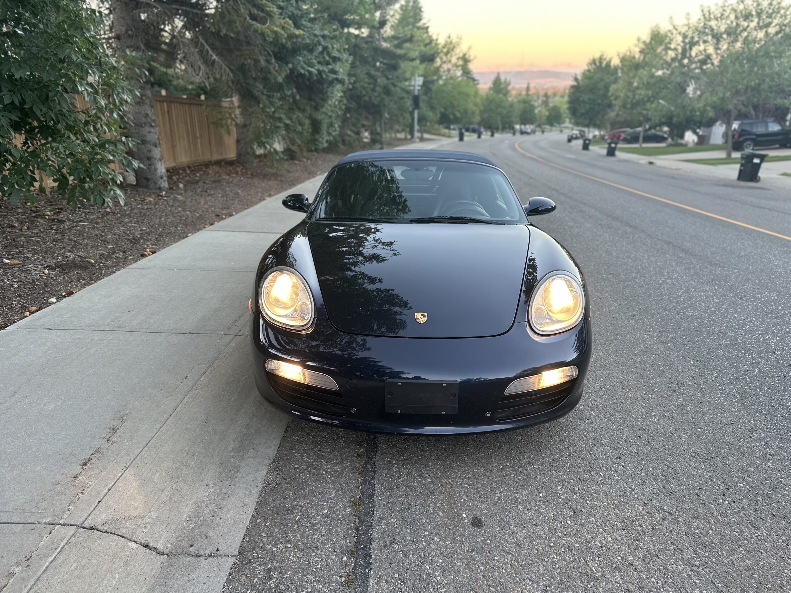 IMG_2267 Ahmed Amer 2024-09-05