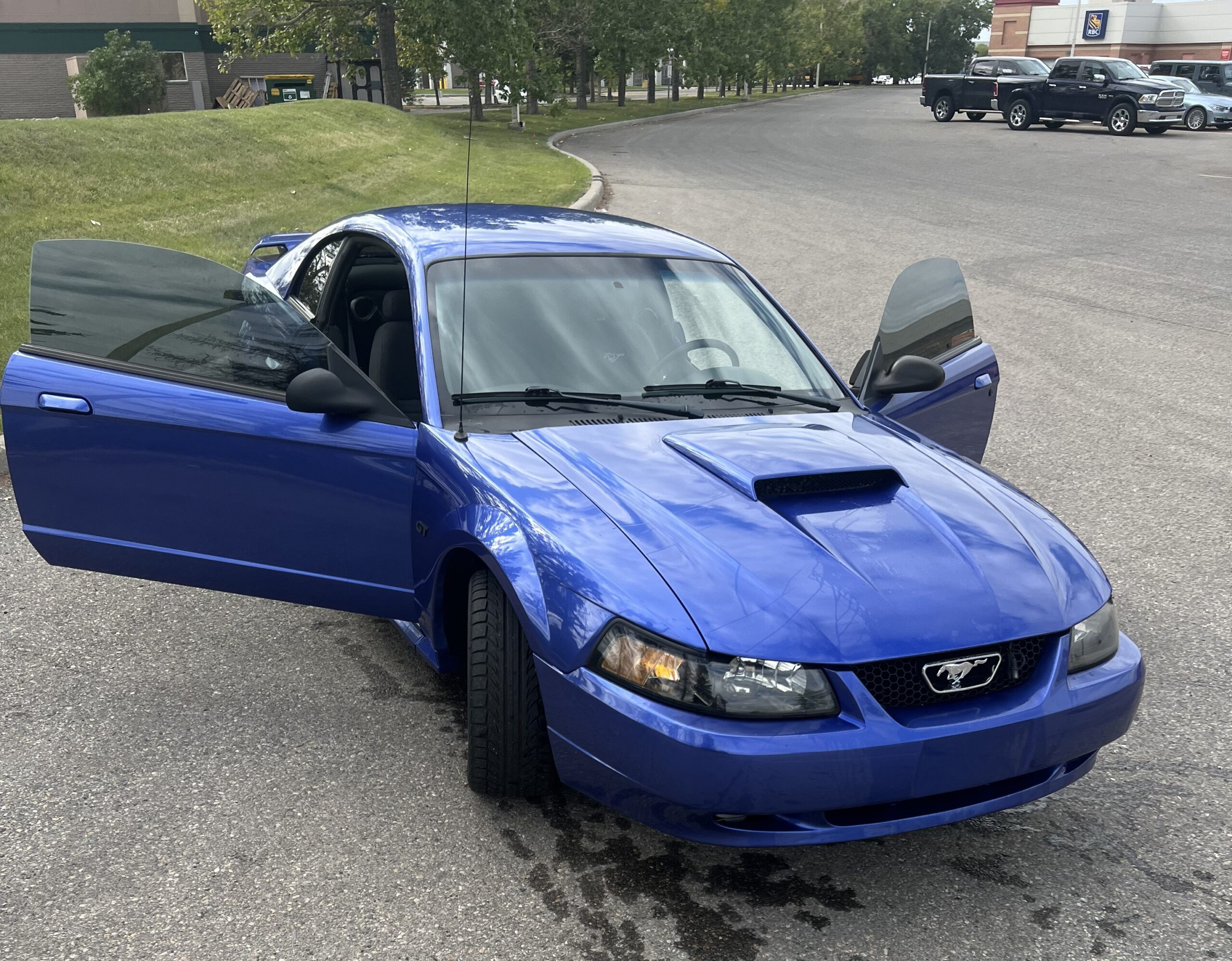 IMG_9100 Morgan Rudiger 2024-09-04