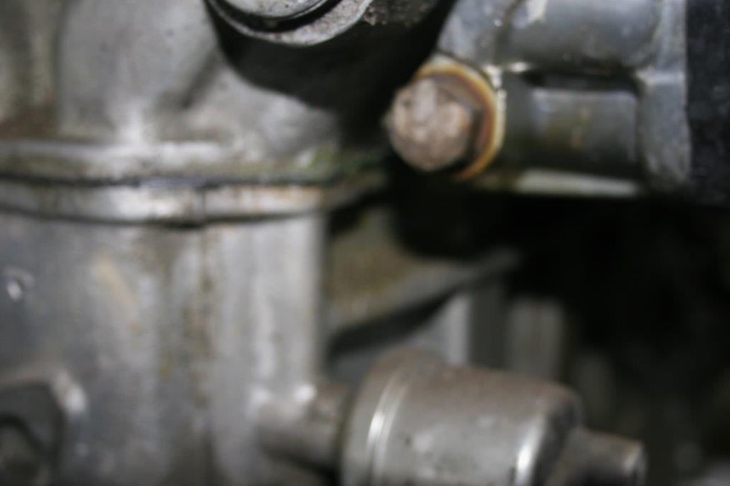 IMG_7623 Scott Schotanus 2024-04-08