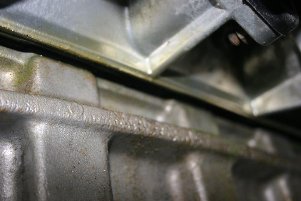 IMG_7624 Scott Schotanus 2024-04-08