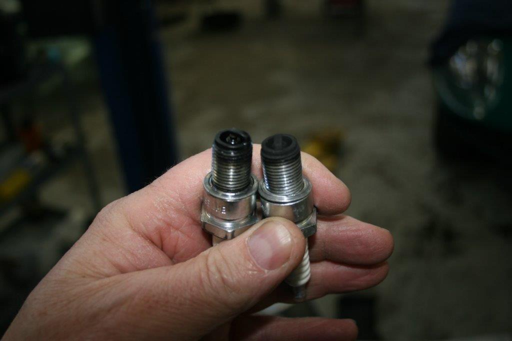 IMG_7646 Scott Schotanus 2024-04-08