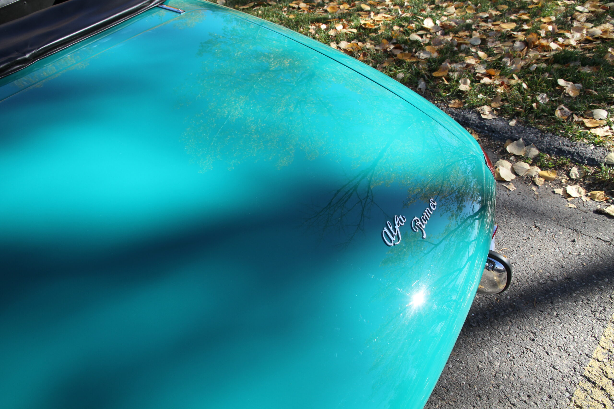 IMG_7923 Scott Schotanus 2025-02-27