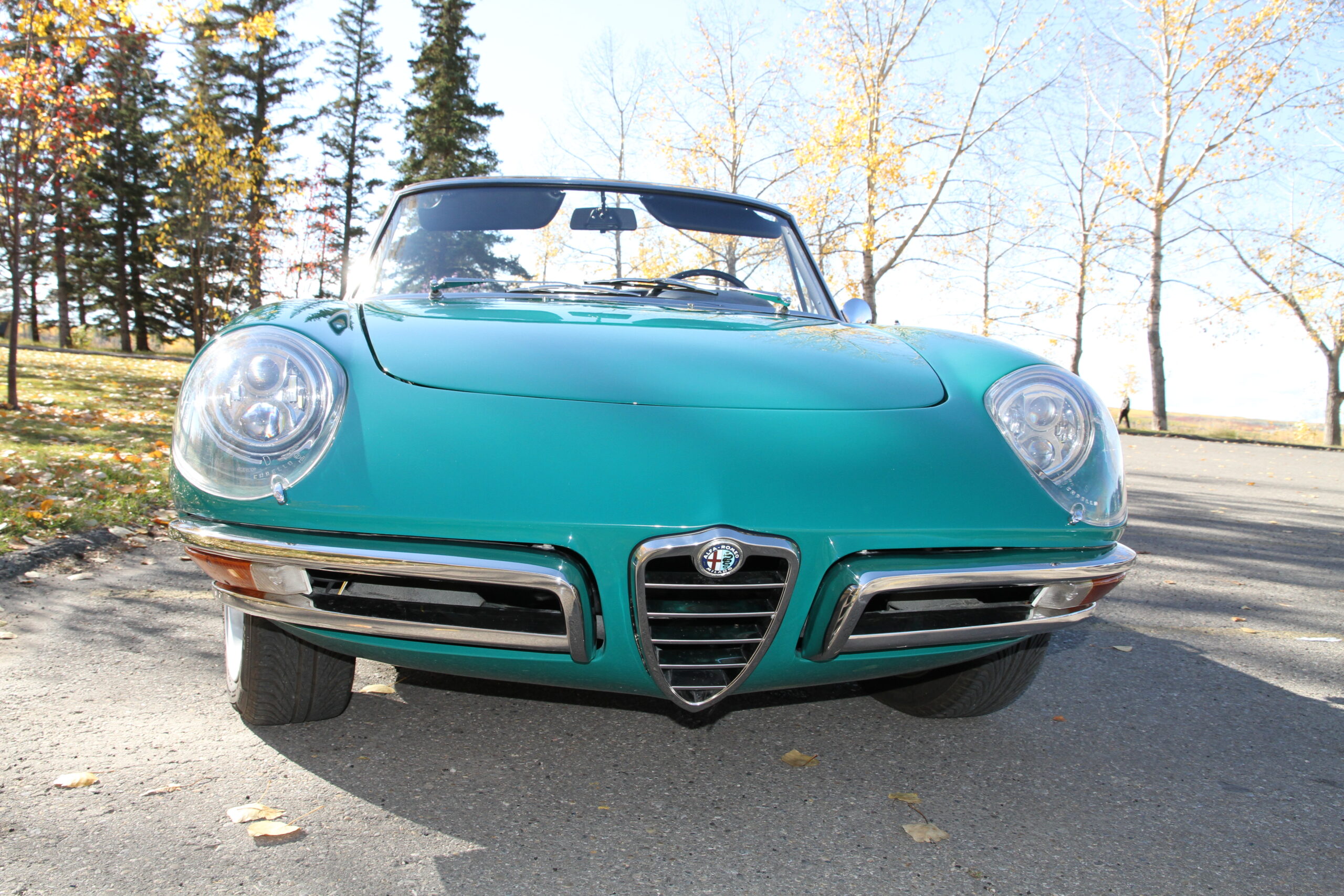 IMG_7929 Scott Schotanus 2025-02-27