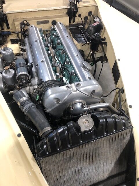 15_IMG_4067 Grant Hill 2025-03-18