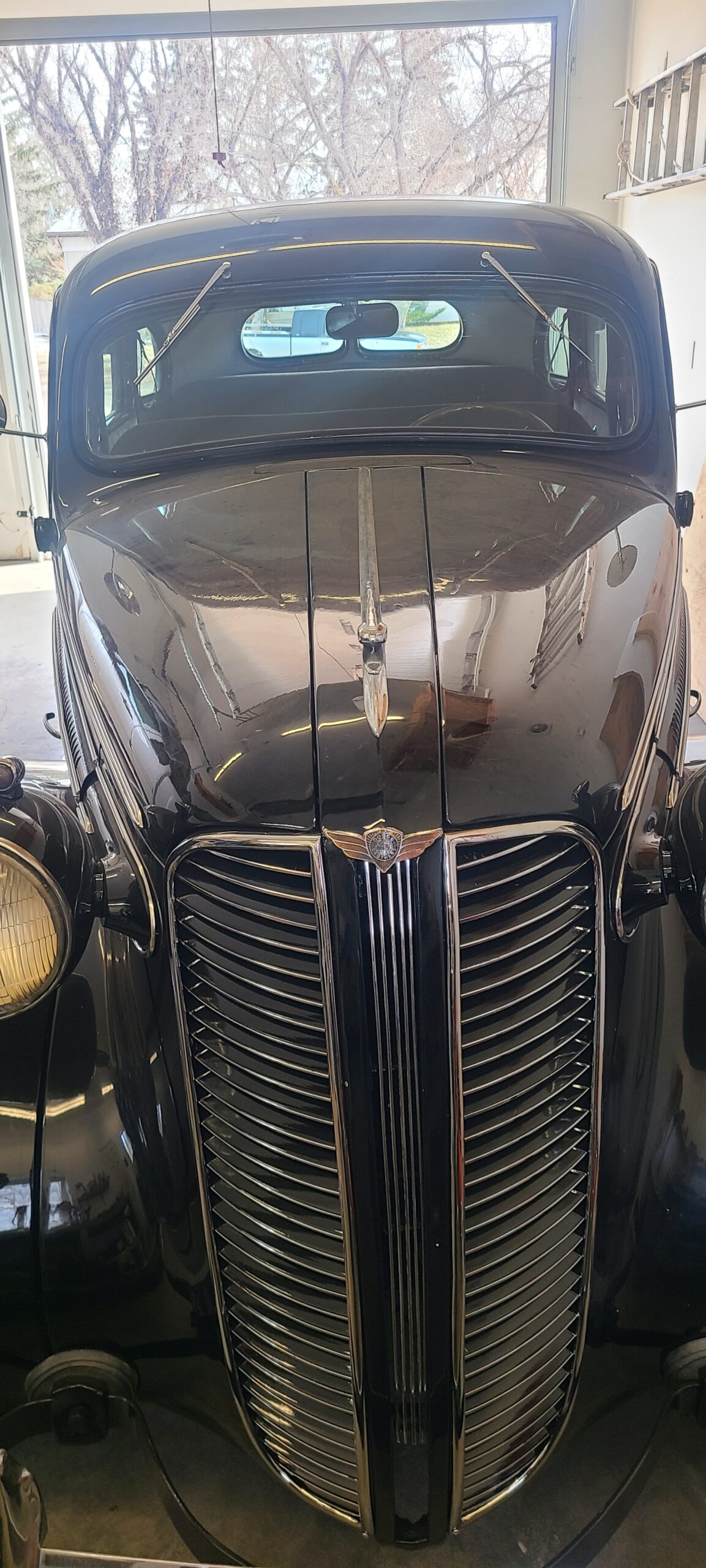 20250305_112910 Doug Watson 2025-03-05