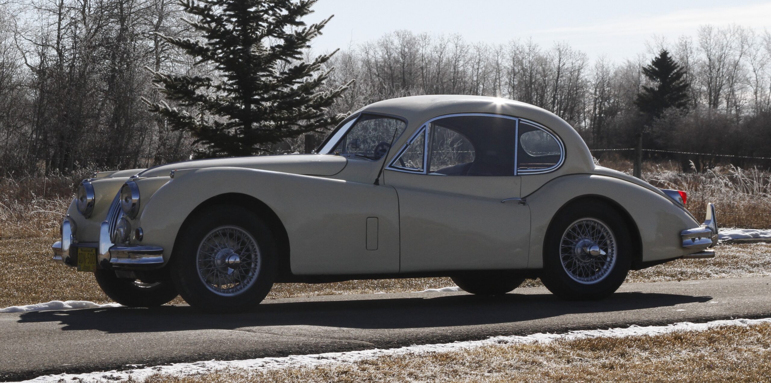 3_MG_2324 Grant Hill 2025-03-18