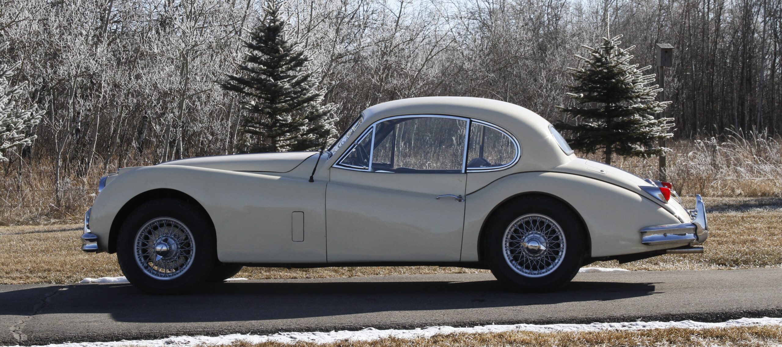 4_MG_2322 Grant Hill 2025-03-18