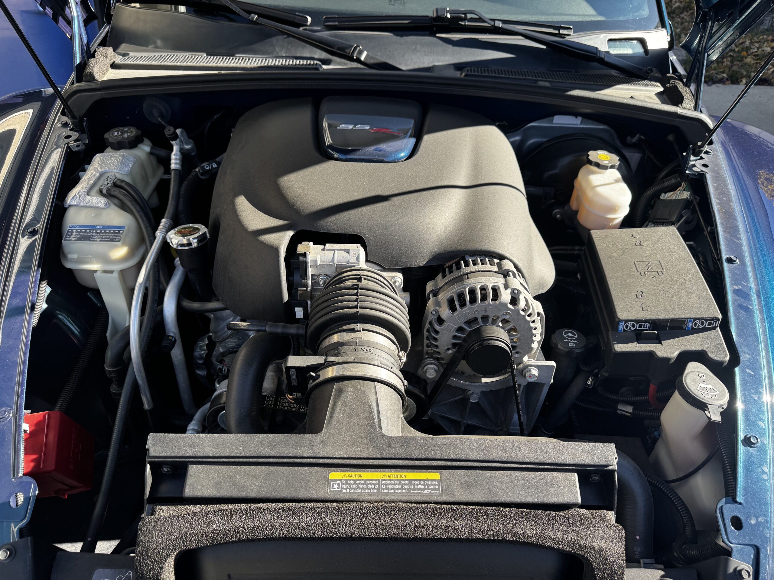 IMG_3388 Harry Fauquier 2025-03-05