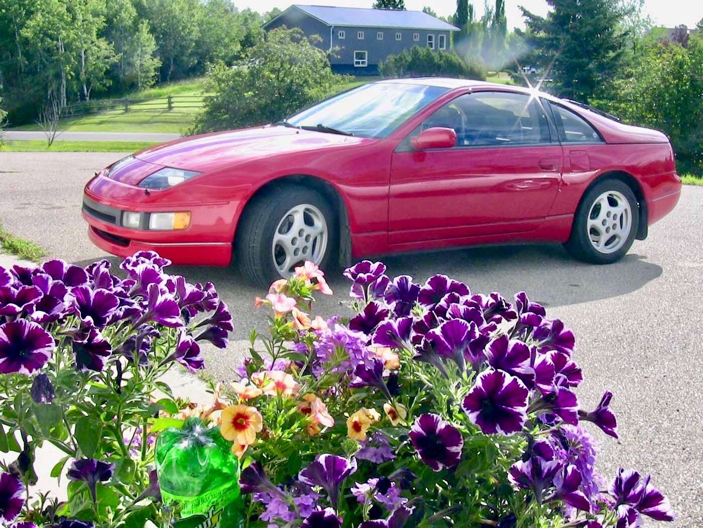 Photo-2019-07-23-8-11-08-PM