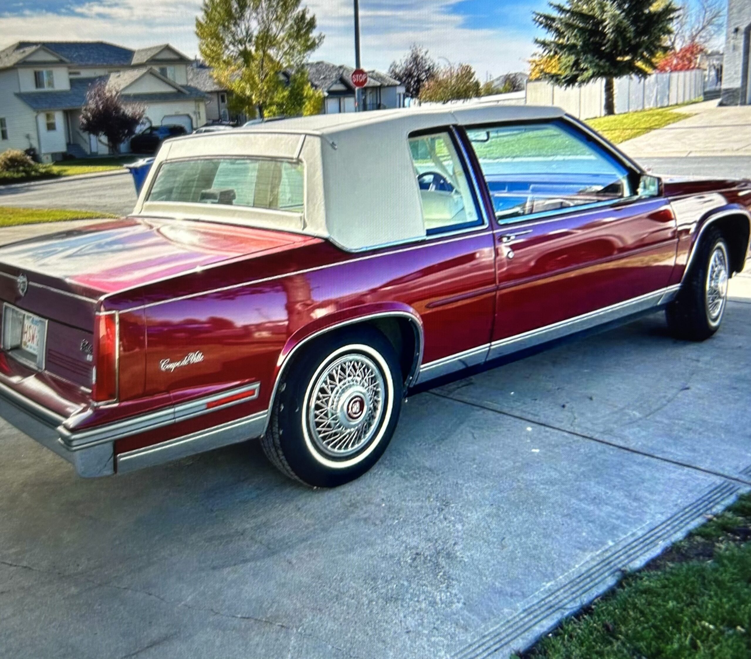 Photo-2025-03-11-3-28-52-PM