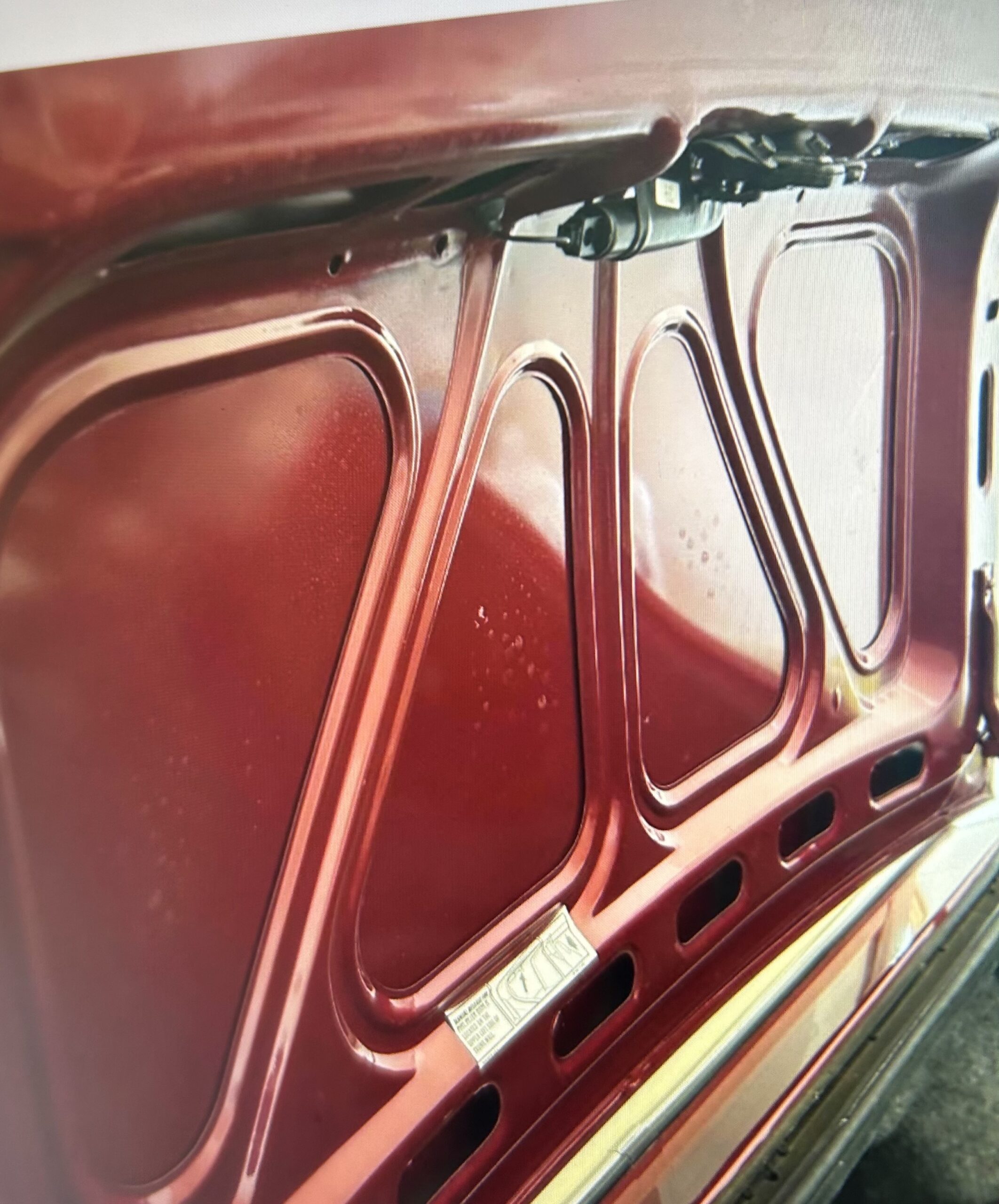 Photo-2025-03-11-3-29-59-PM