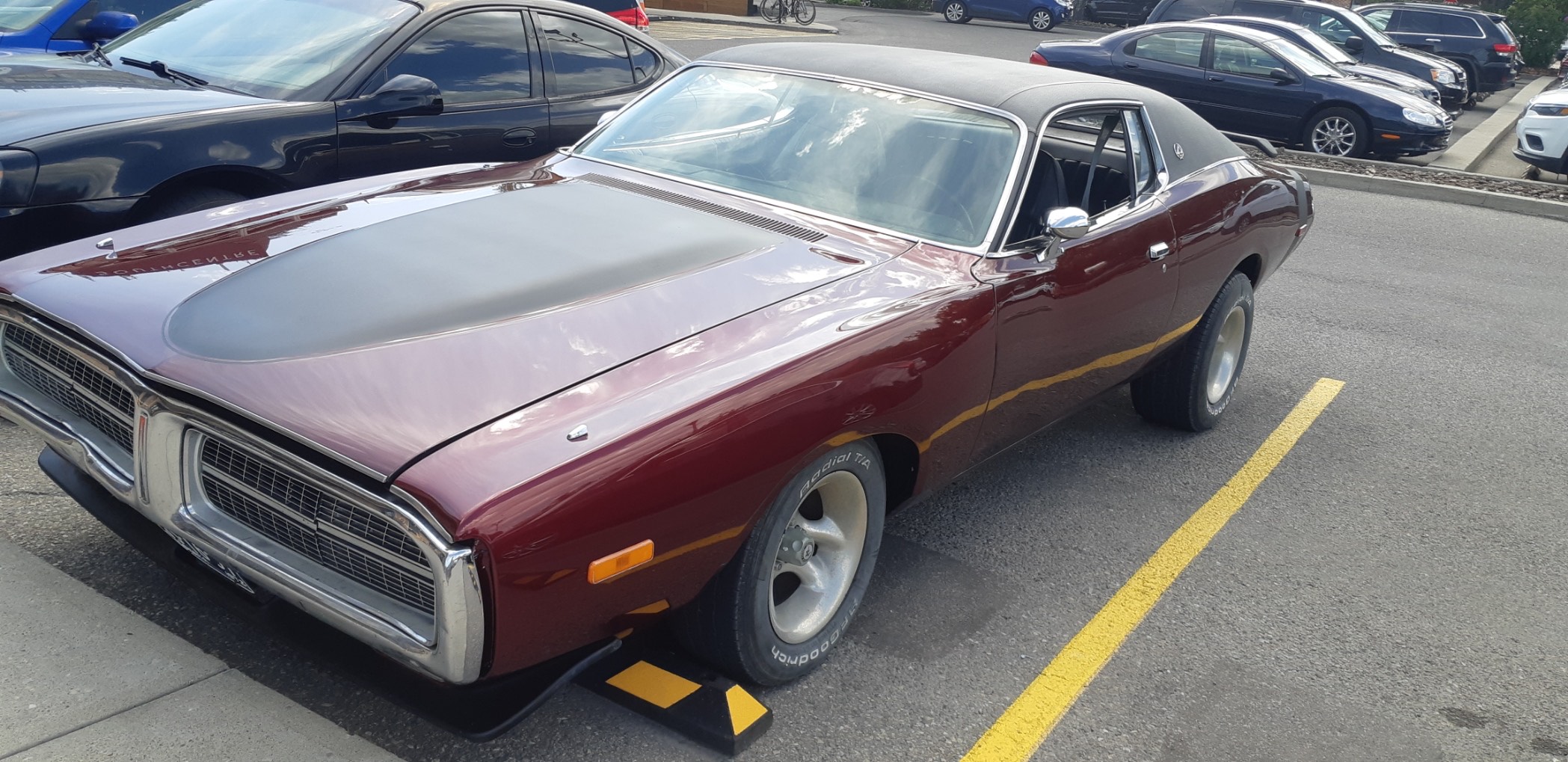 Photo-2025-03-12-2-37-08-PM-1-1