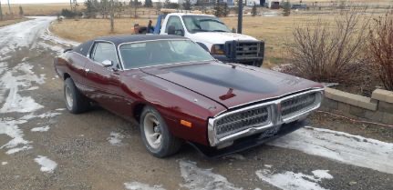 Photo-2025-03-12-2-37-08-PM-1