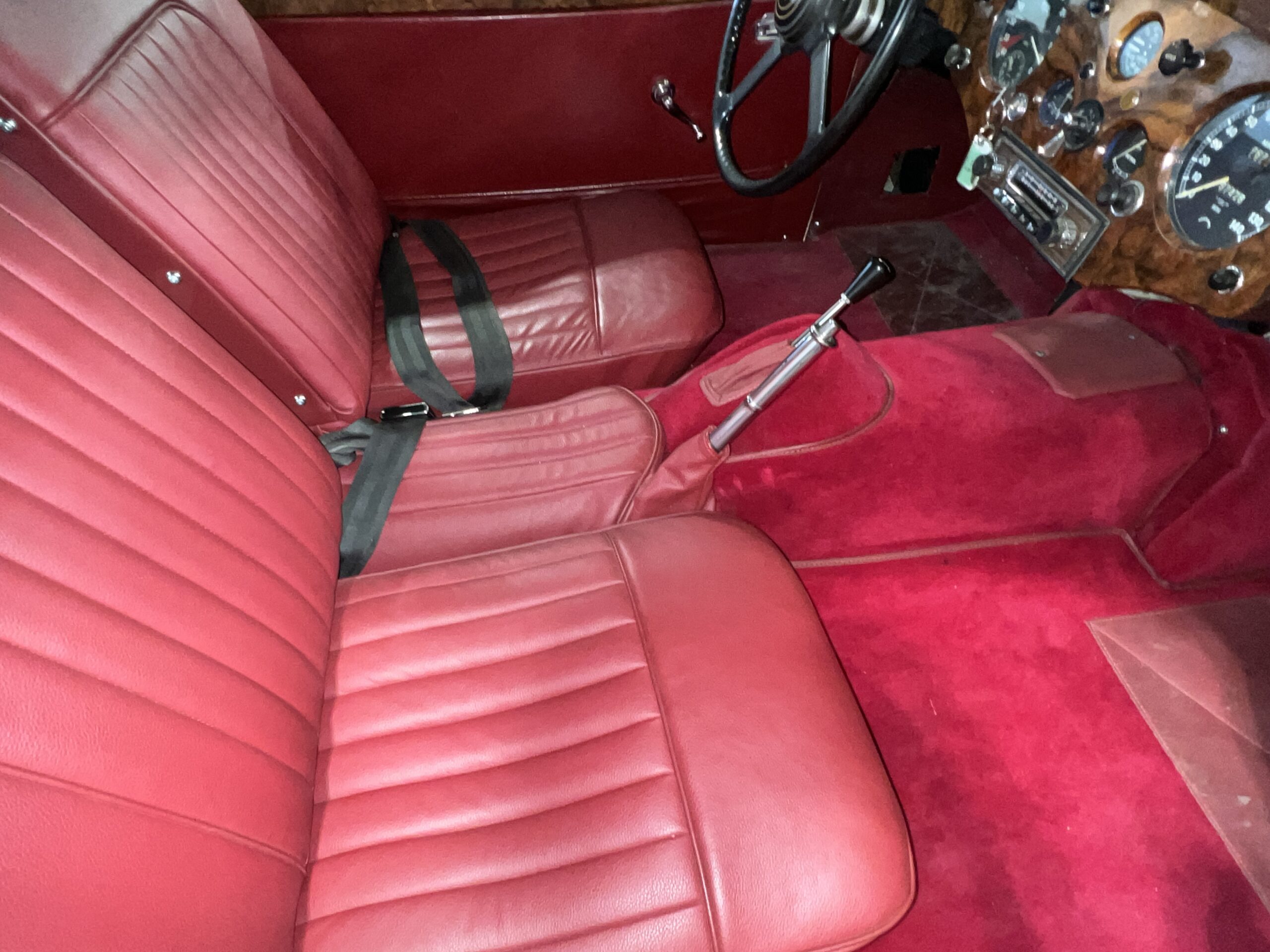 Photo 2025-03-20, 1 26 03 PM