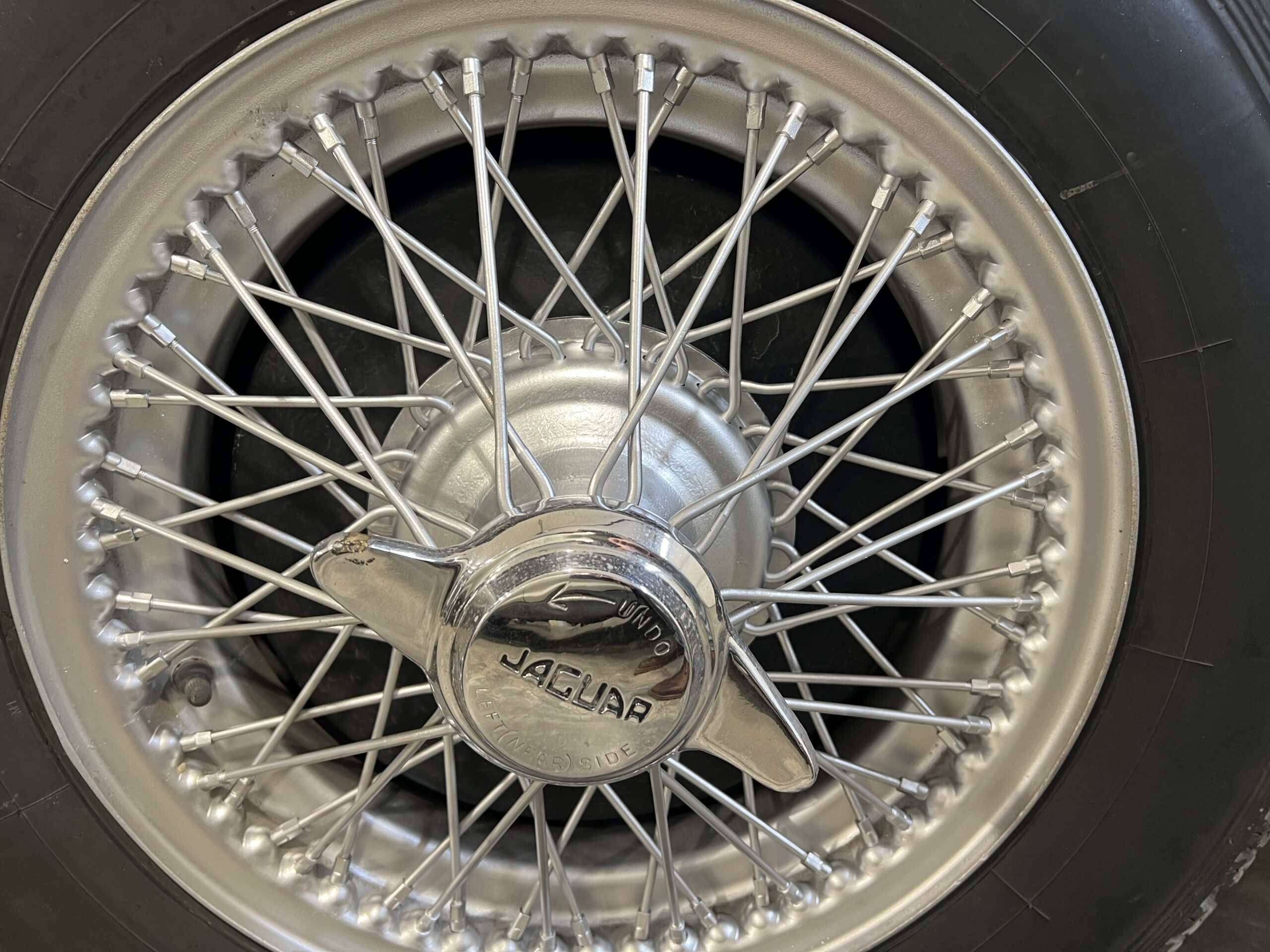 Photo 2025-03-20, 1 29 21 PM