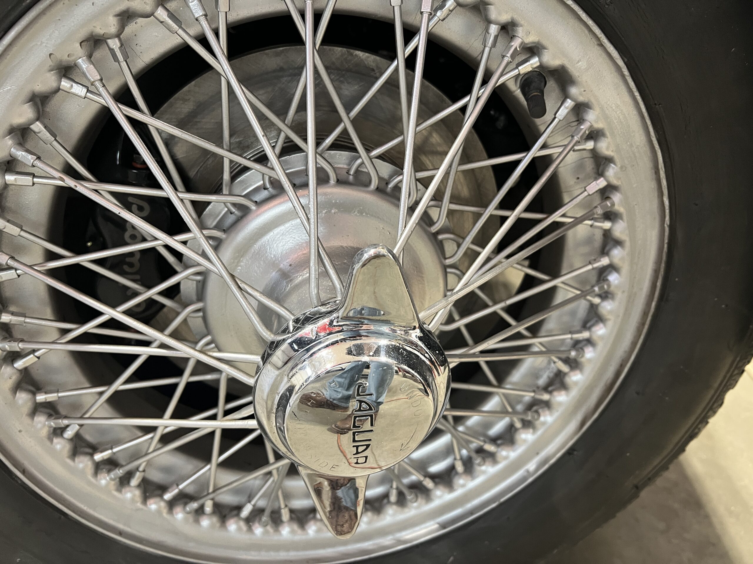 Photo 2025-03-20, 1 29 33 PM