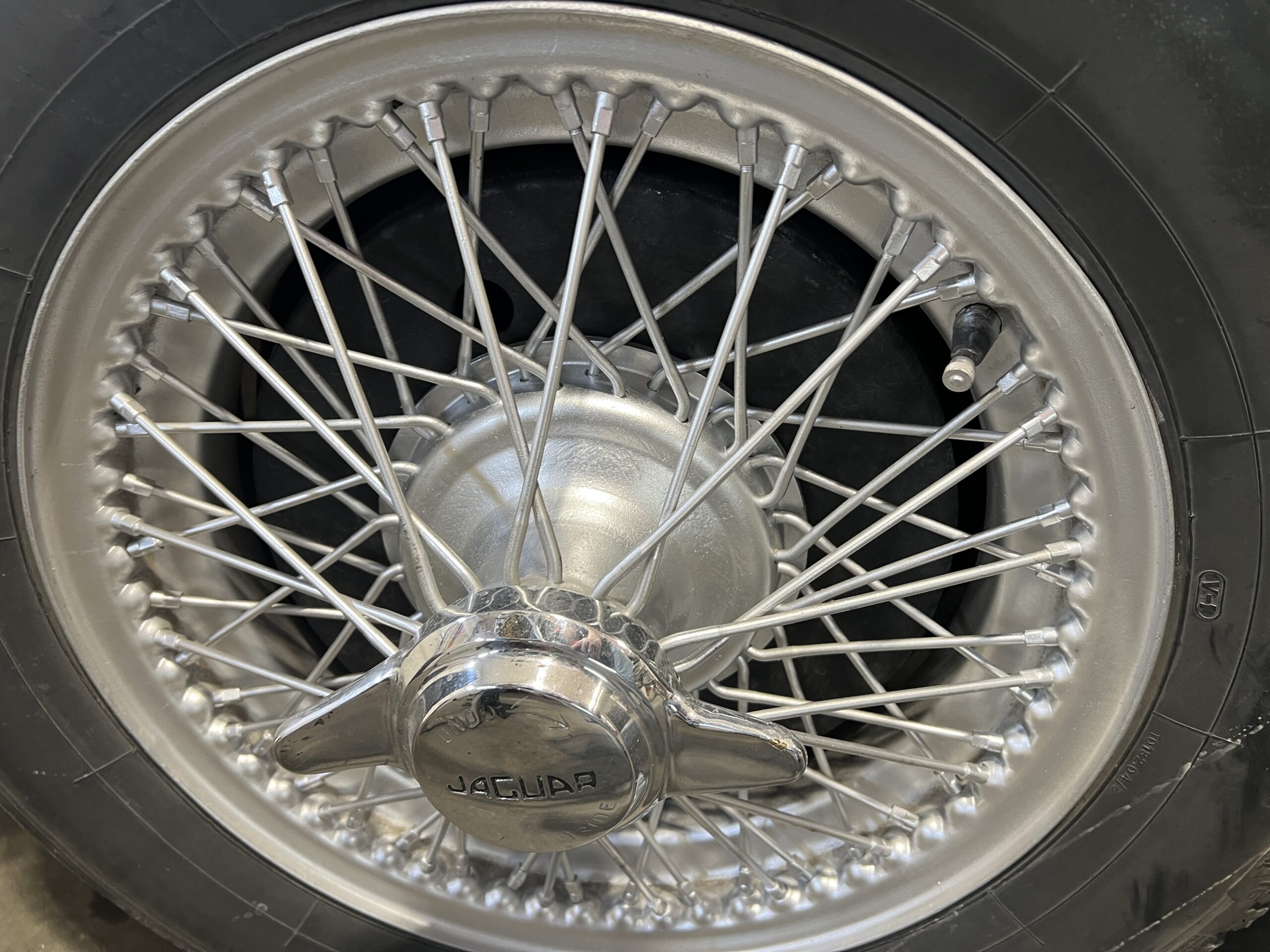 Photo 2025-03-20, 1 29 39 PM