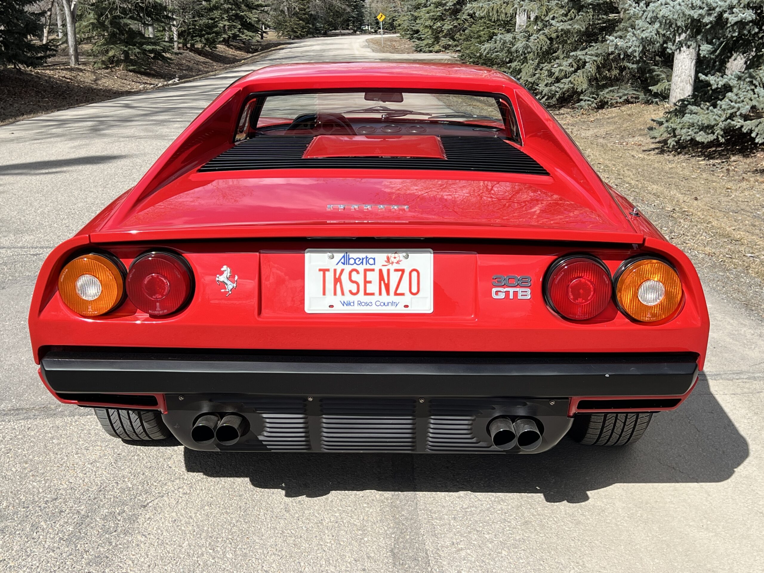 Photo 2025-04-09, 3 20 52 PM