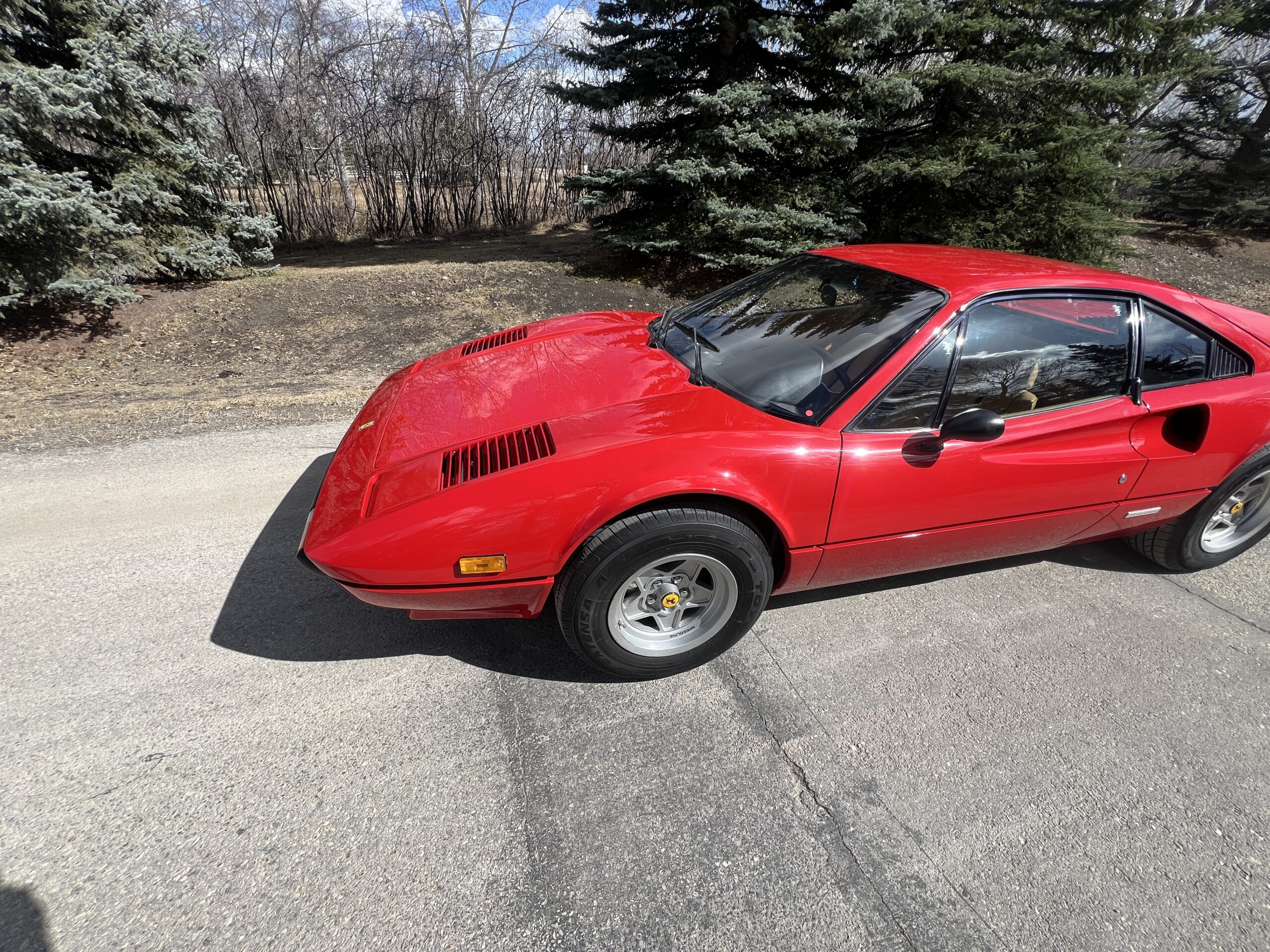 Photo 2025-04-09, 3 21 35 PM