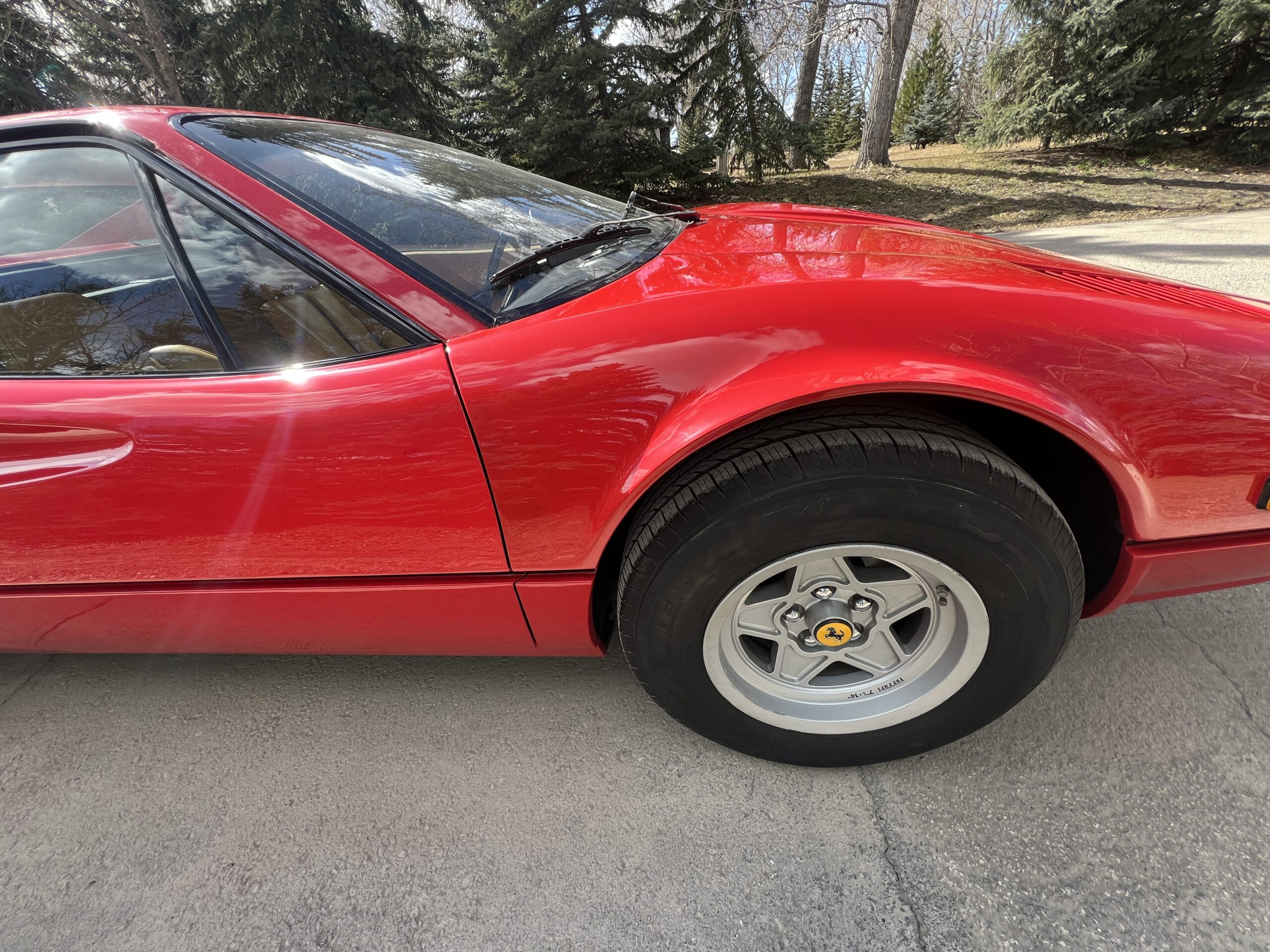 Photo 2025-04-09, 3 21 45 PM