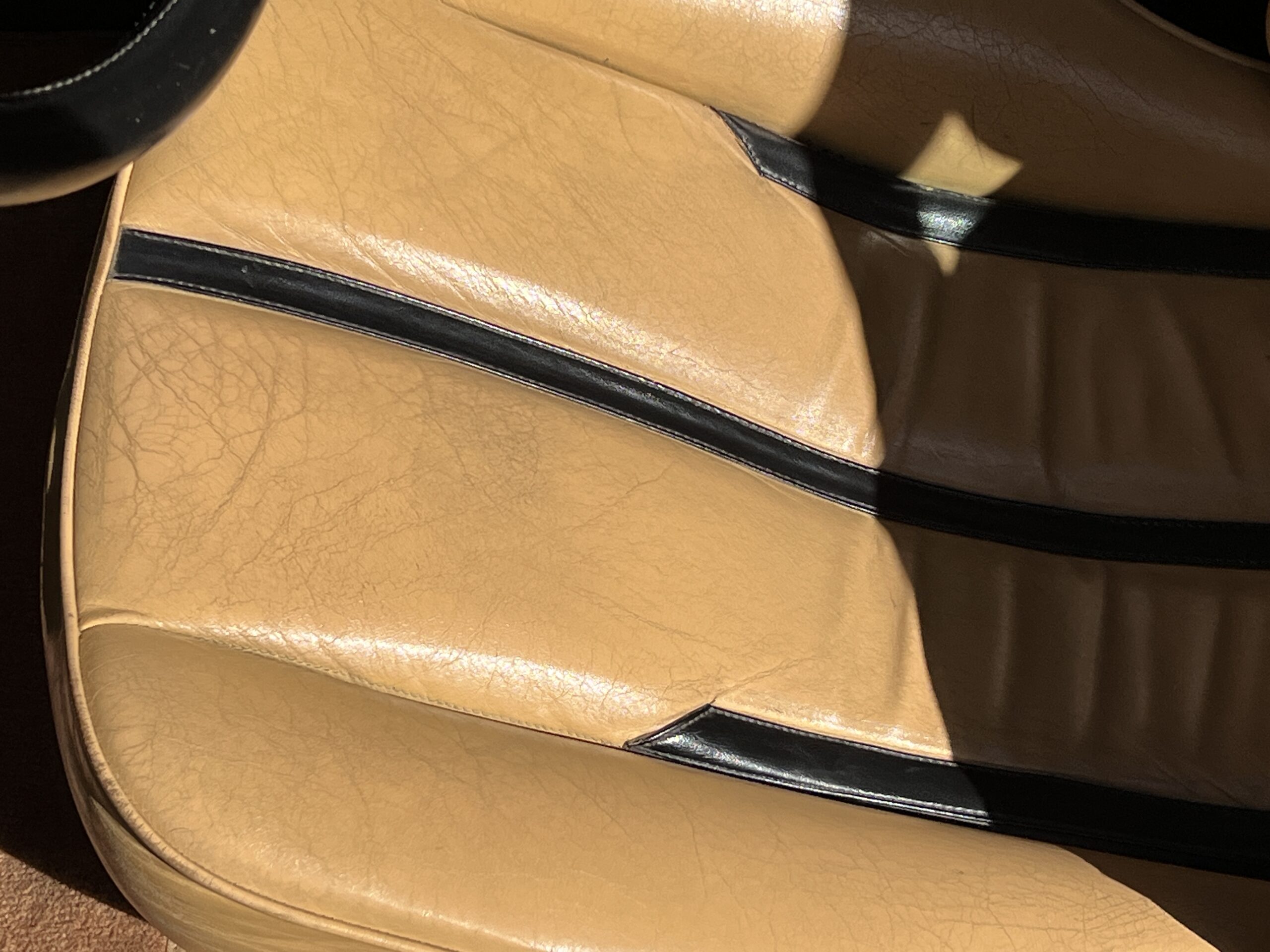 Photo 2025-04-09, 3 22 43 PM