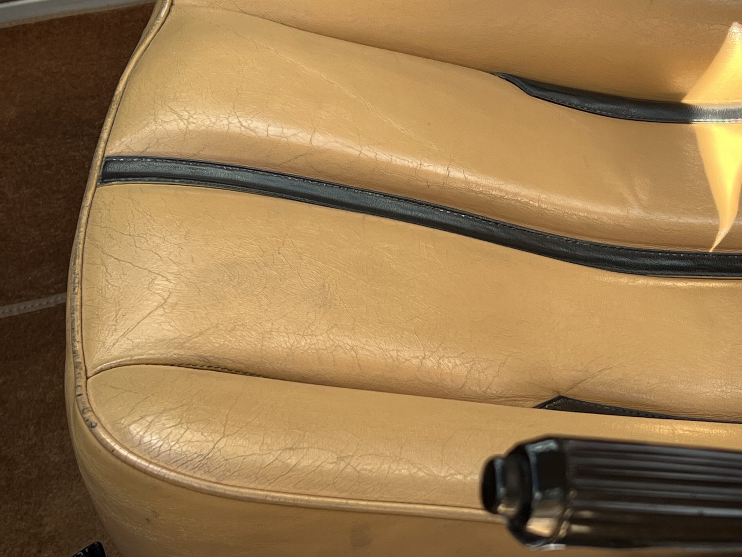 Photo 2025-04-09, 3 22 47 PM