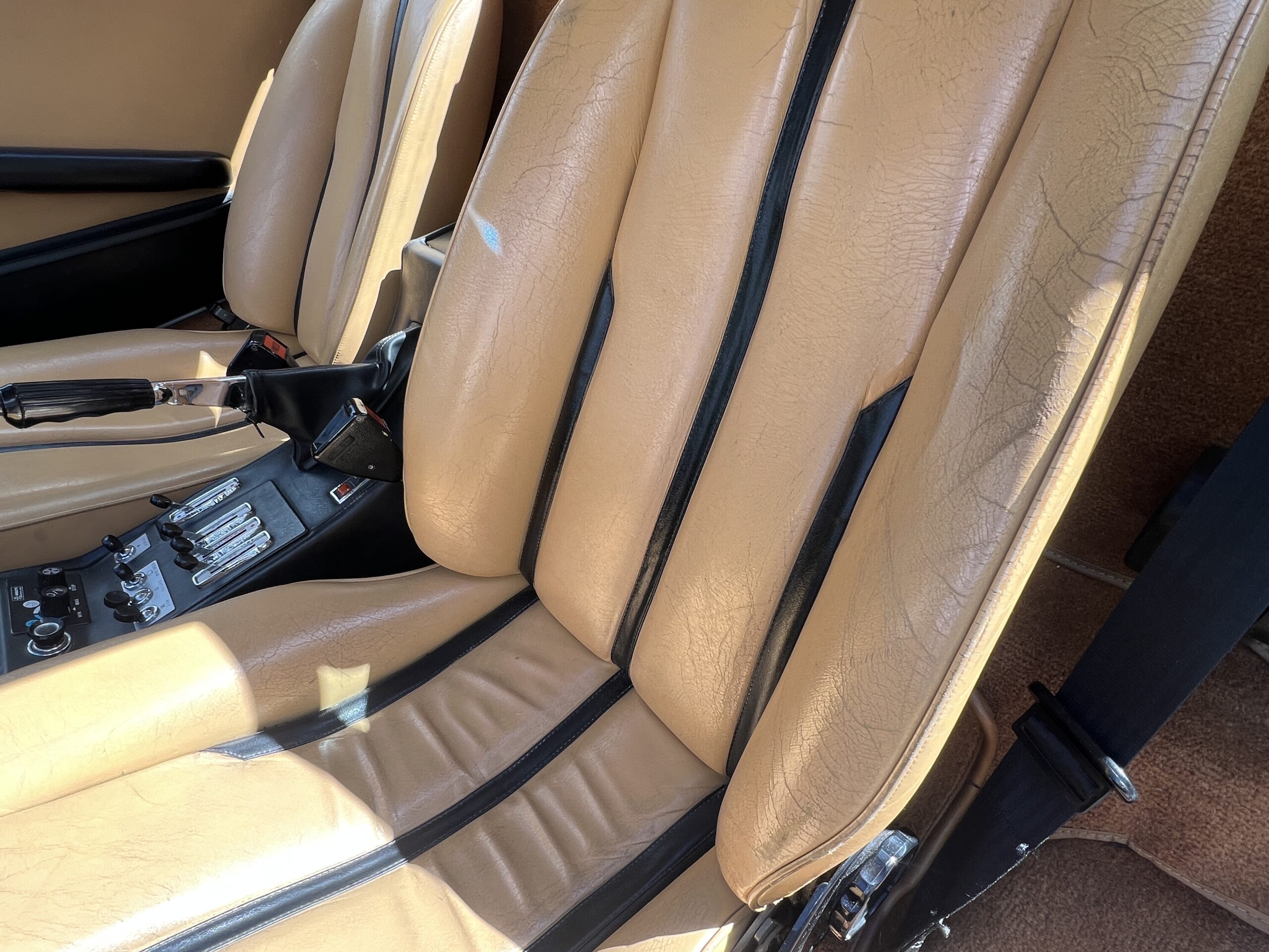 Photo 2025-04-09, 3 22 56 PM