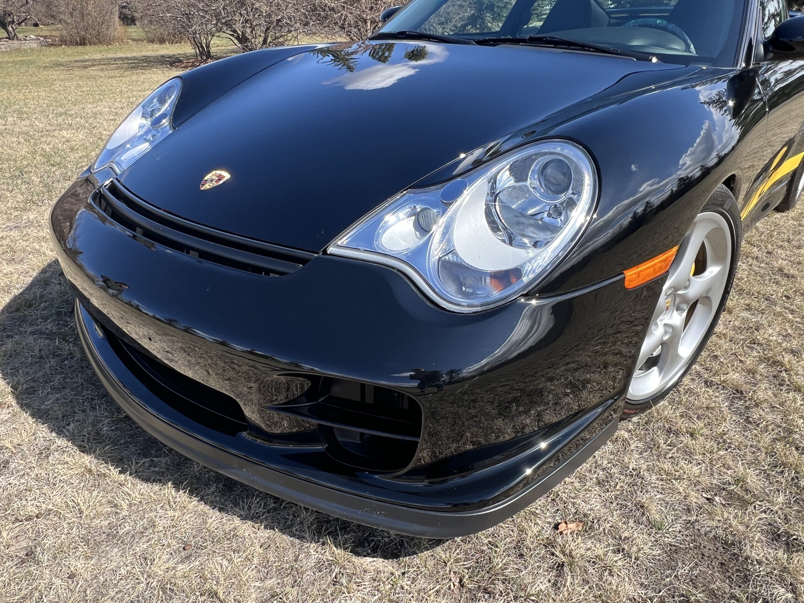 Photo 2025-04-17, 3 36 20 PM