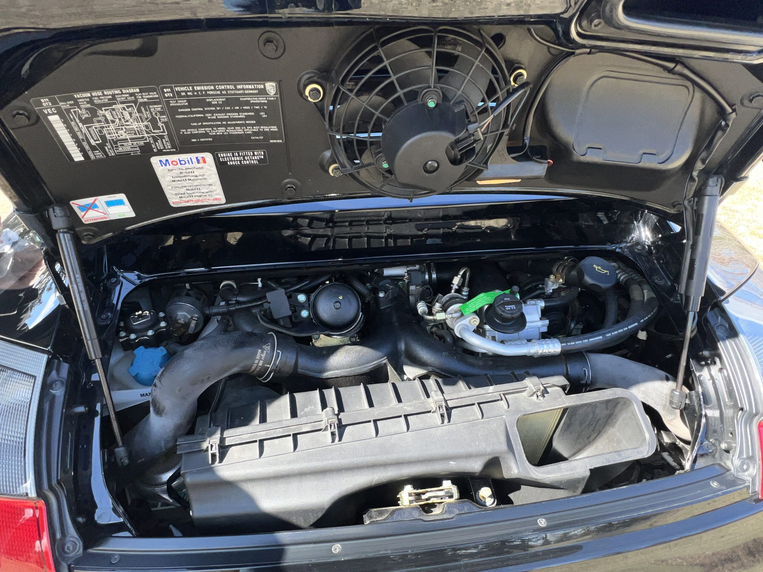 Photo 2025-04-17, 3 40 59 PM