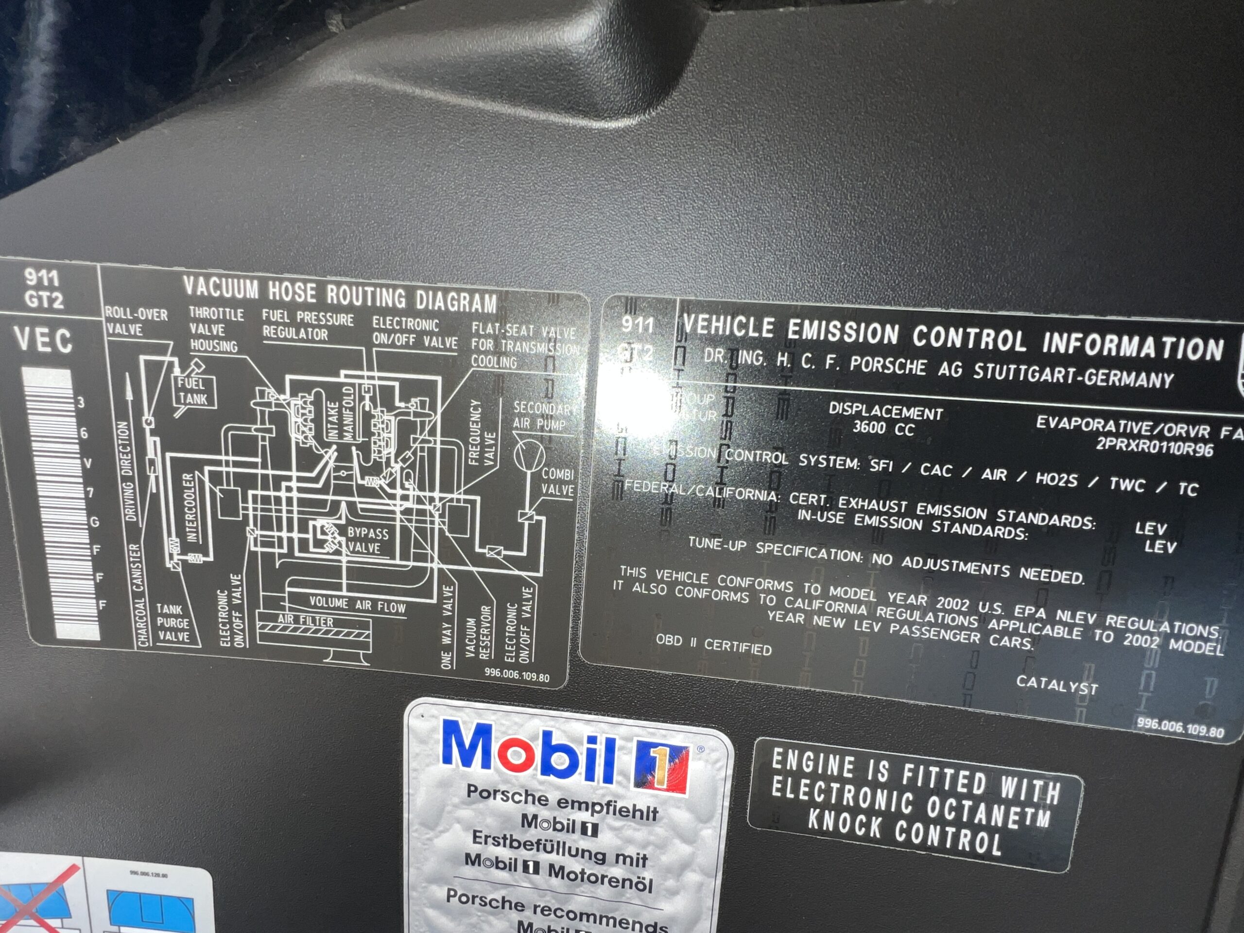 Photo 2025-04-17, 3 41 30 PM