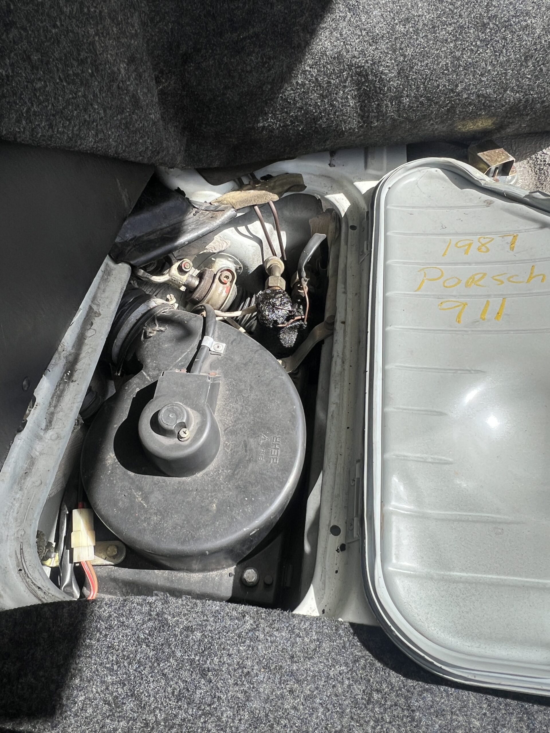 Photo 2025-04-18, 2 38 15 PM