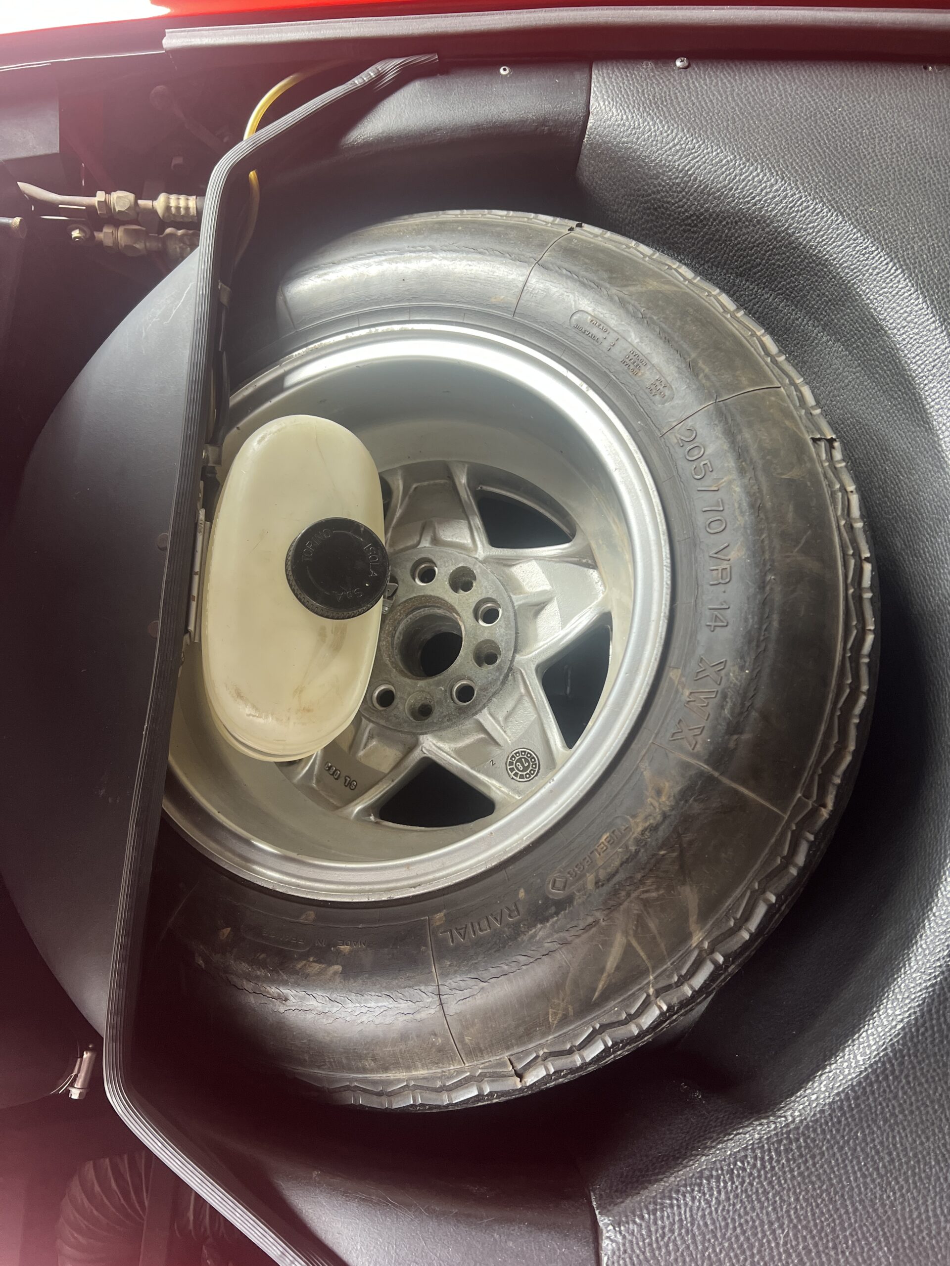 Photo 2025-04-19, 3 16 54 PM