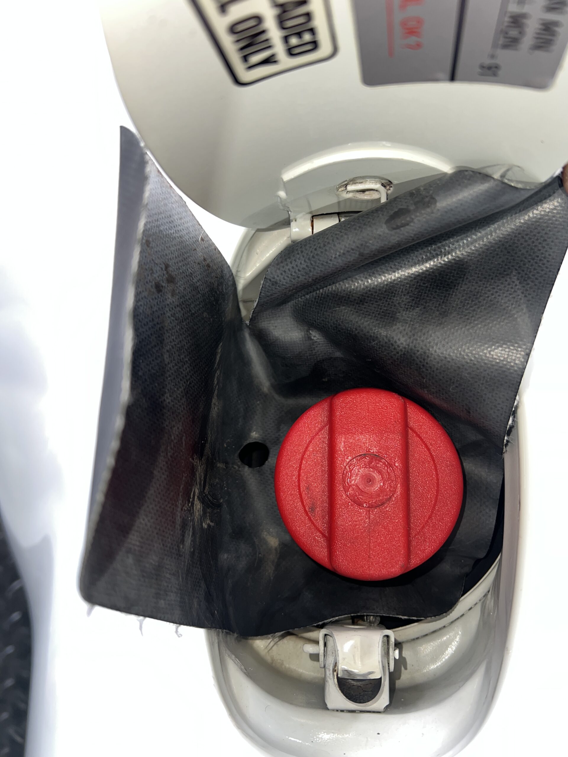 Photo 2025-04-19, 3 57 36 PM